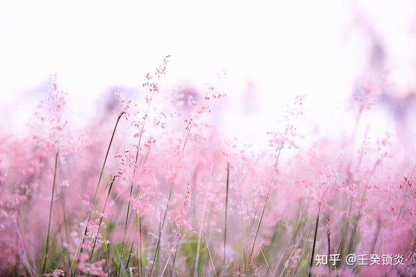 壬癸锁炎 的想法: 重塑骨,了前生 | 祝你心结开,万物生,重塑骨,了前生,一念间,天地永恒。收余恨,免娇嗔,苦海回身自… - 知乎