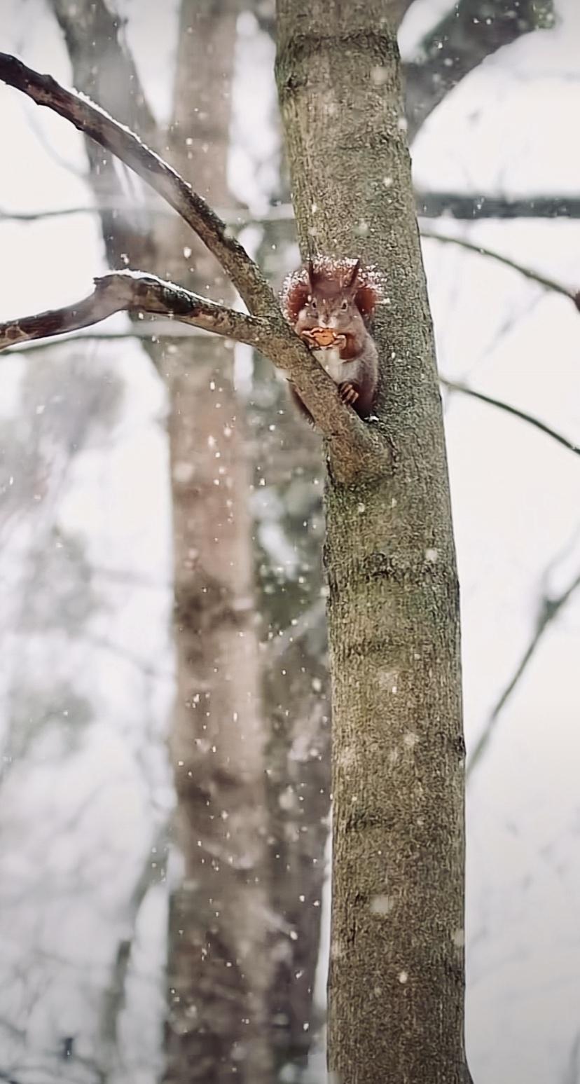 摆渡人的家 的想法: 近距离