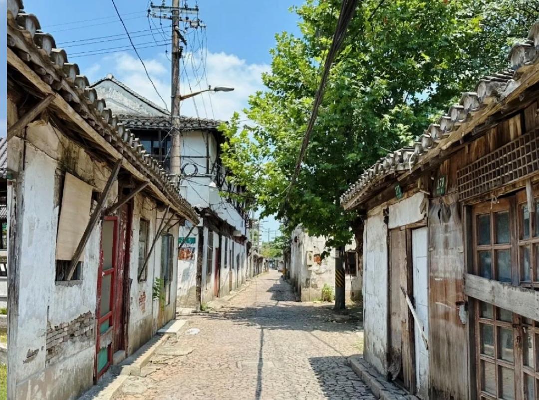 如风 的想法: 嘉定西大街的风土人情