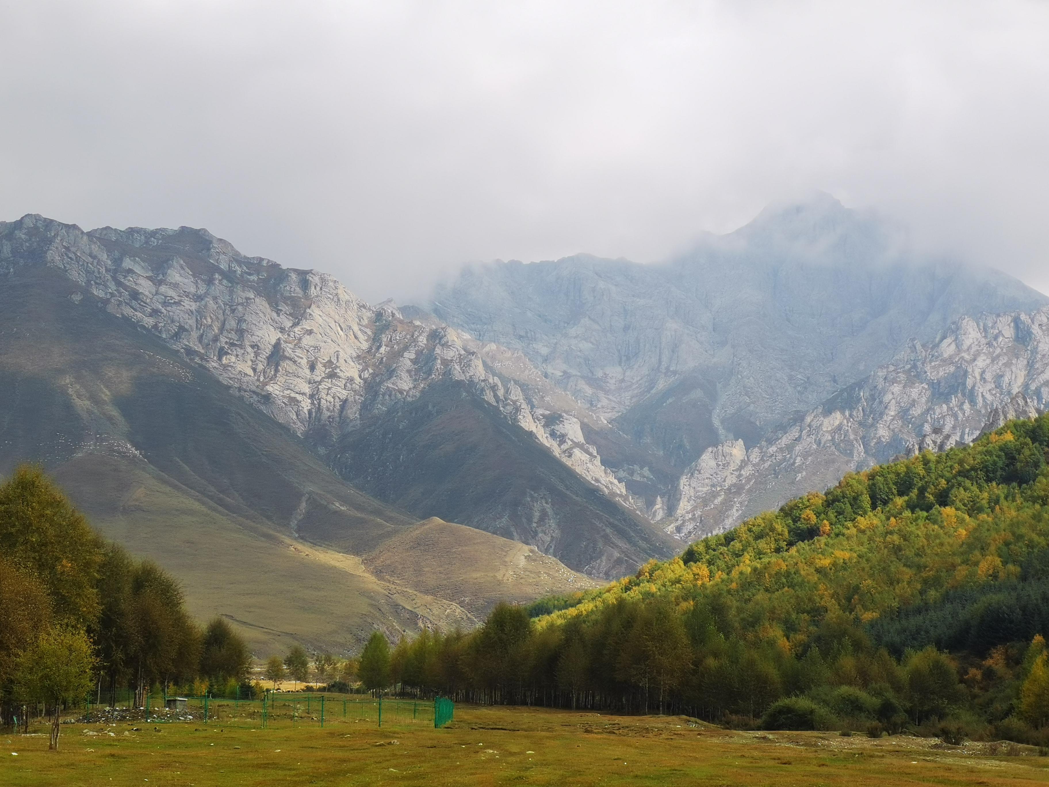 青藏散人 的想法: 青海互助县龙王山 | <a href="