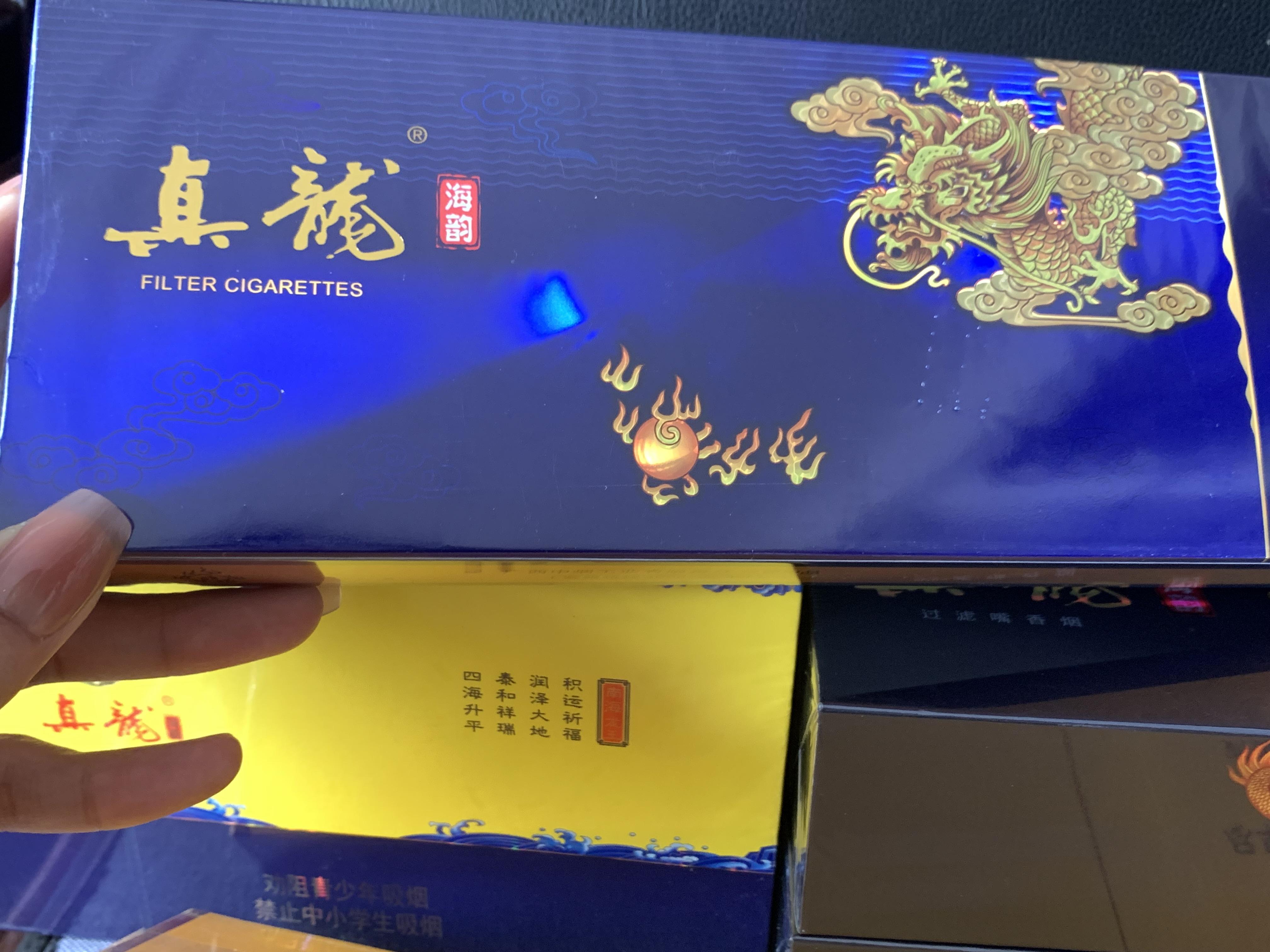 真龙.海韵中支