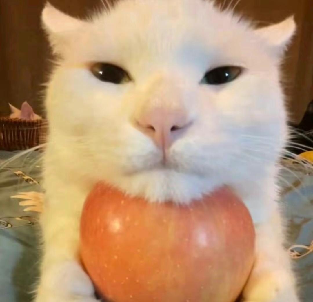 荔枝 的想法: 无聊 | 98地点:学校 br>74时间:现在 br>04心情