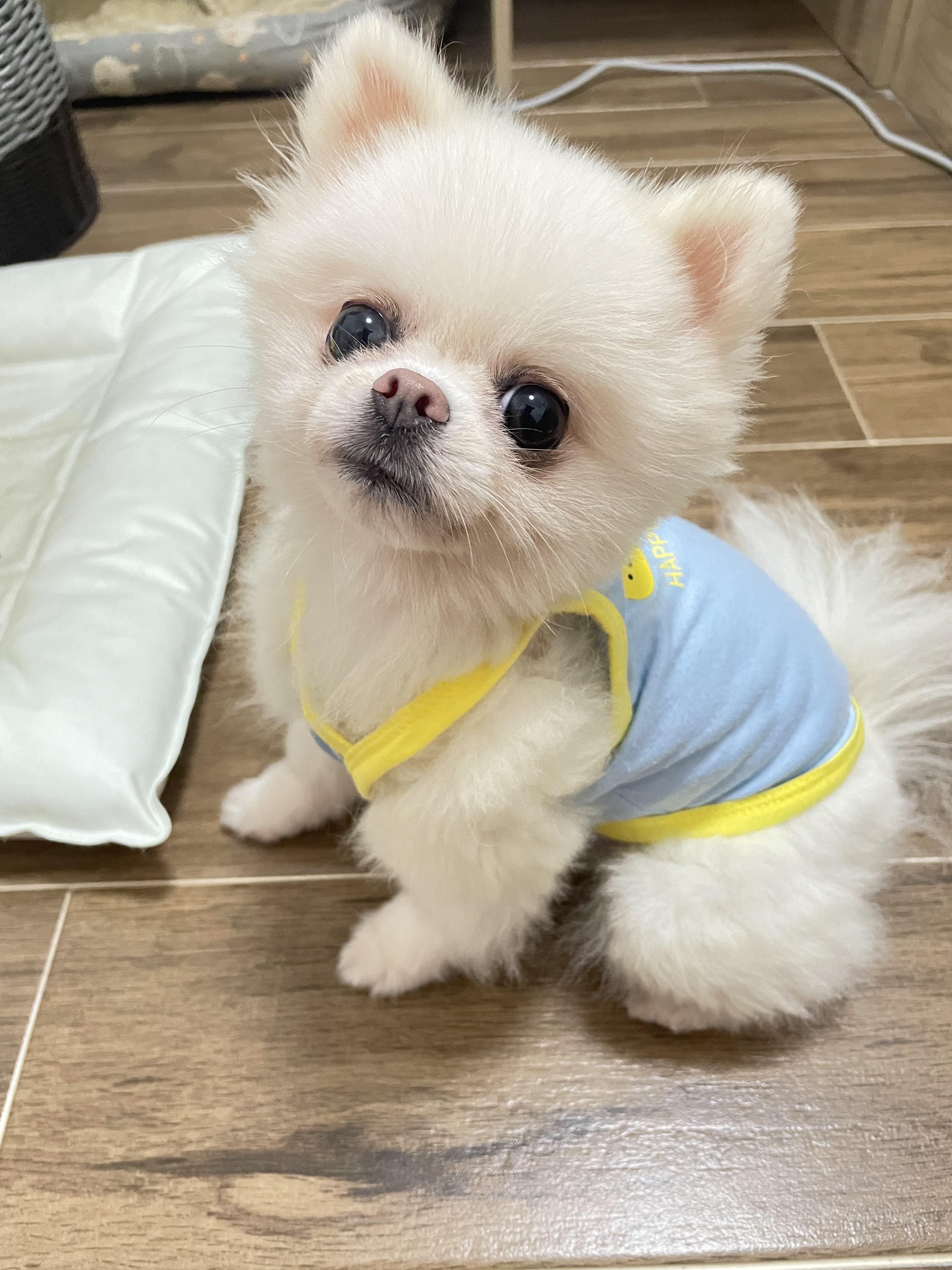 3024_4032竖版 竖屏