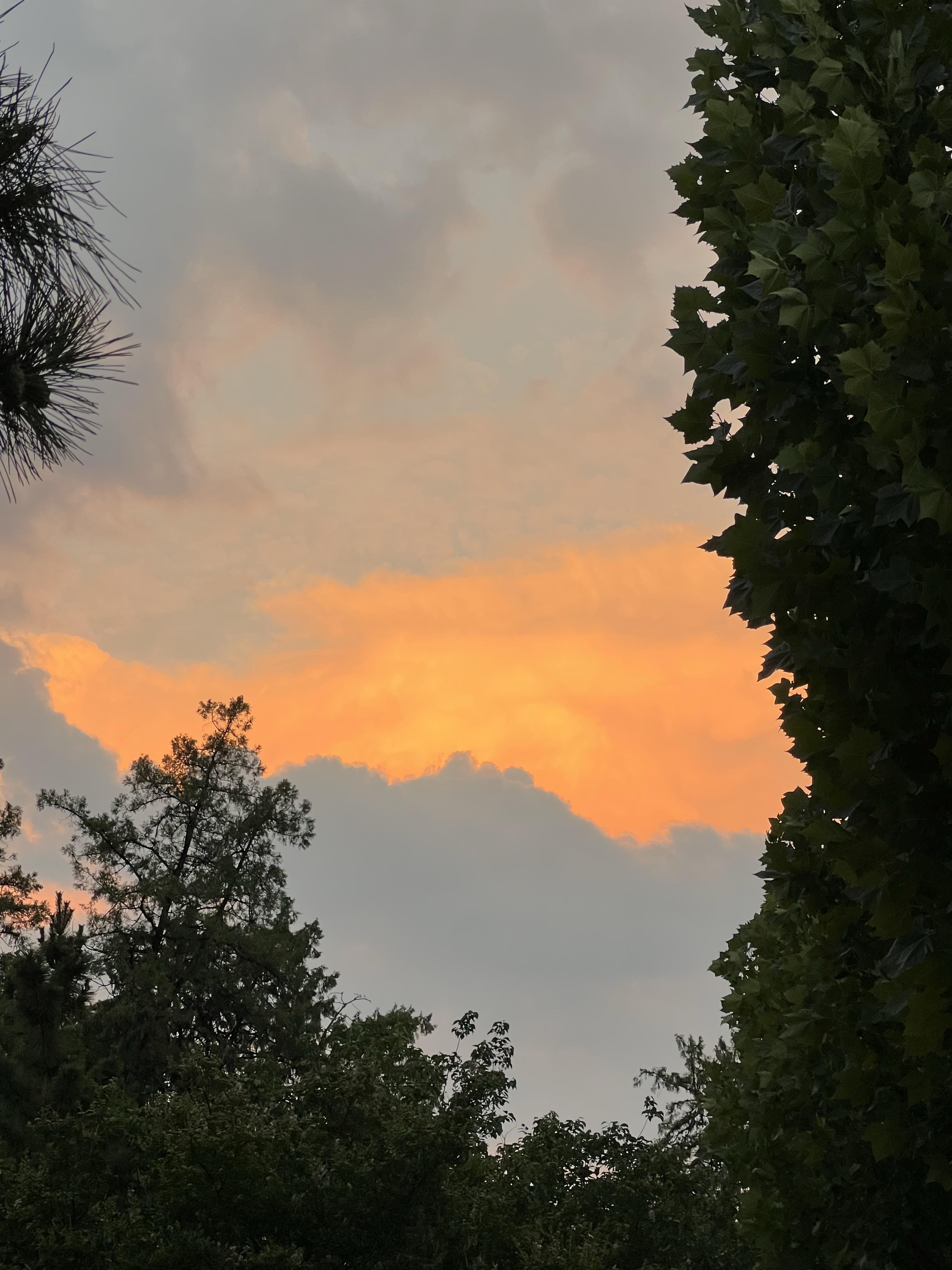 麦客 的想法: 泰山之上