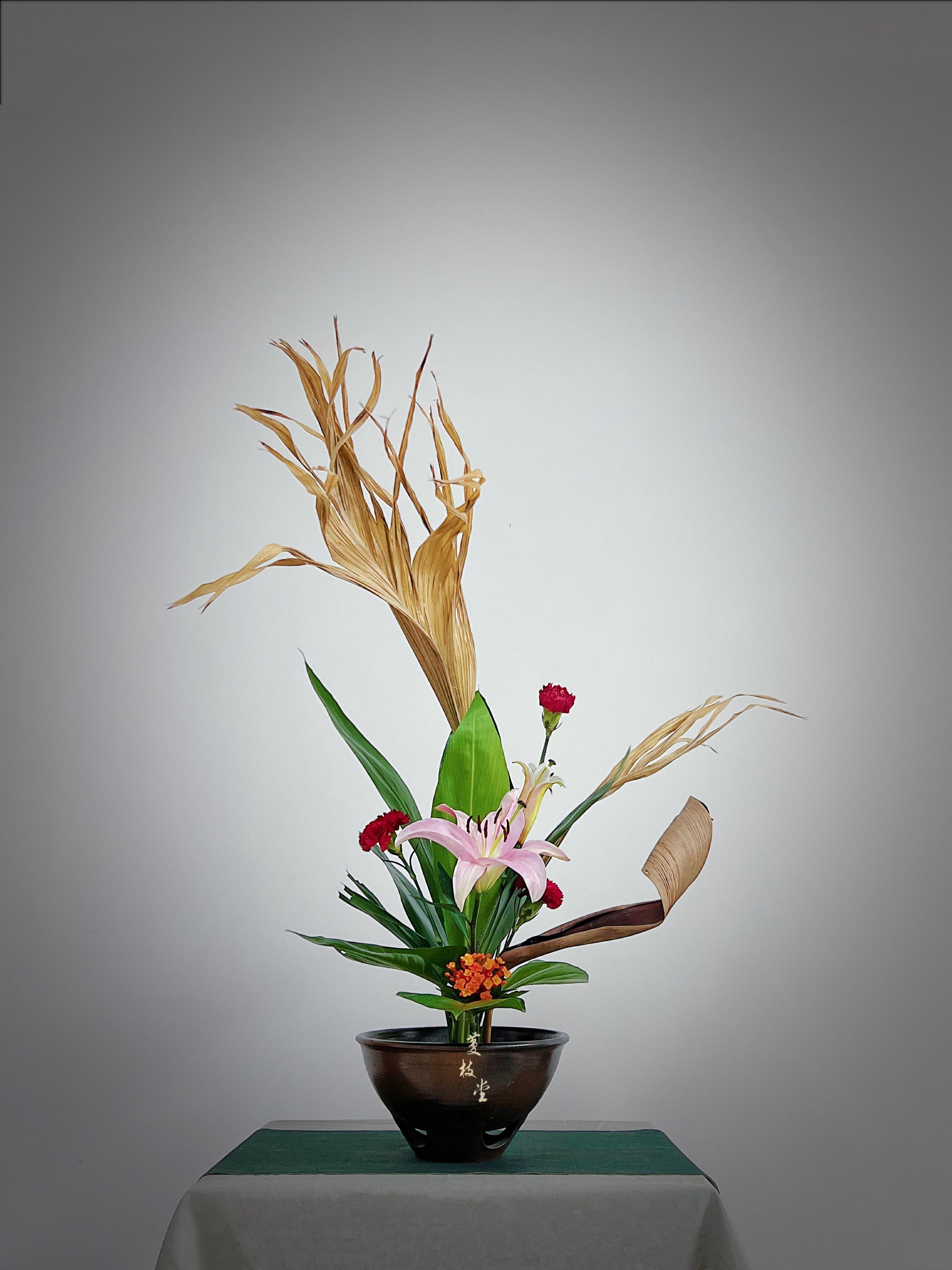 蔓枝堂中华花艺 的想法: 蒲葵干了