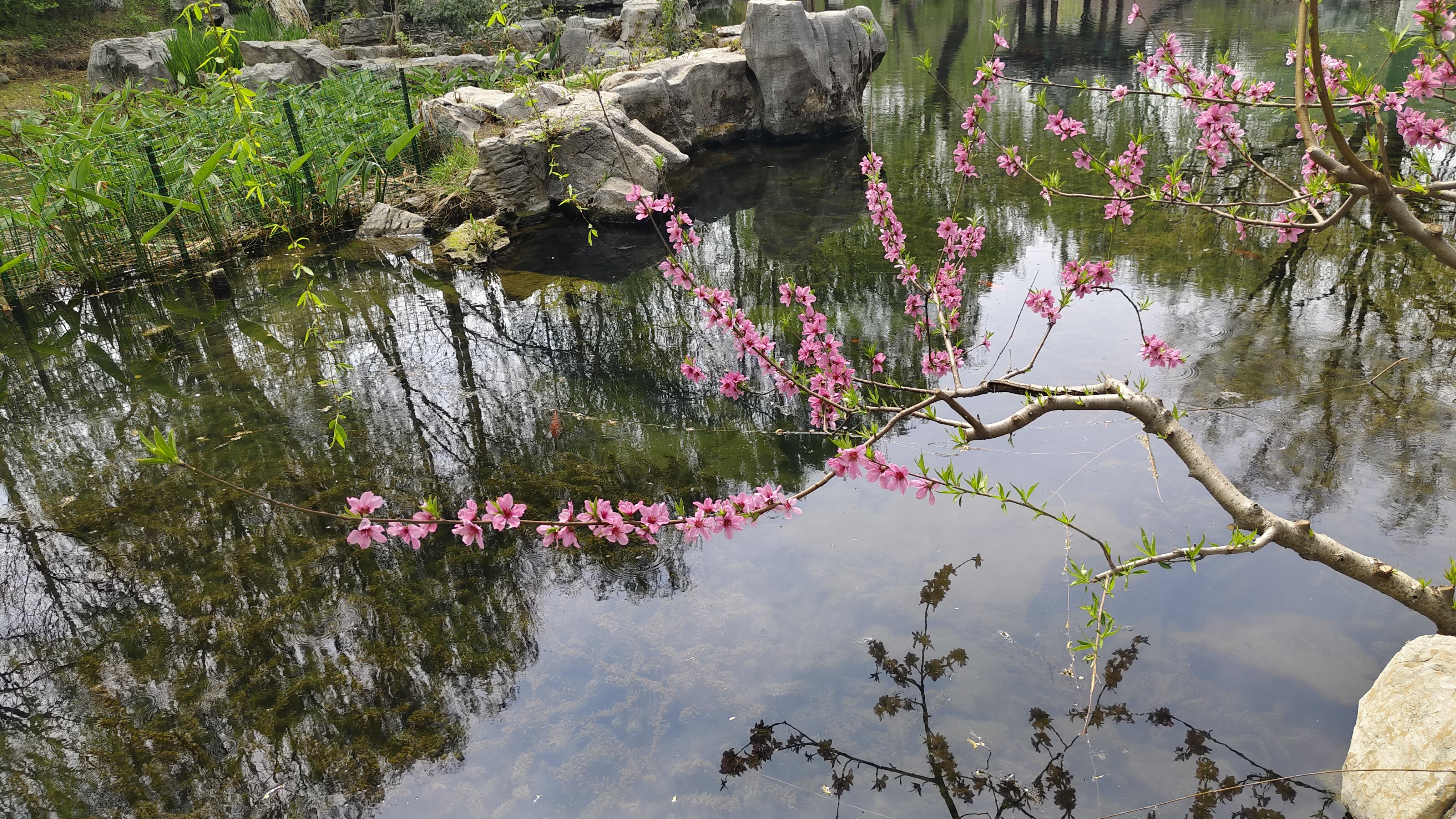 "感觉王维的这句诗和这几幅图片很搭