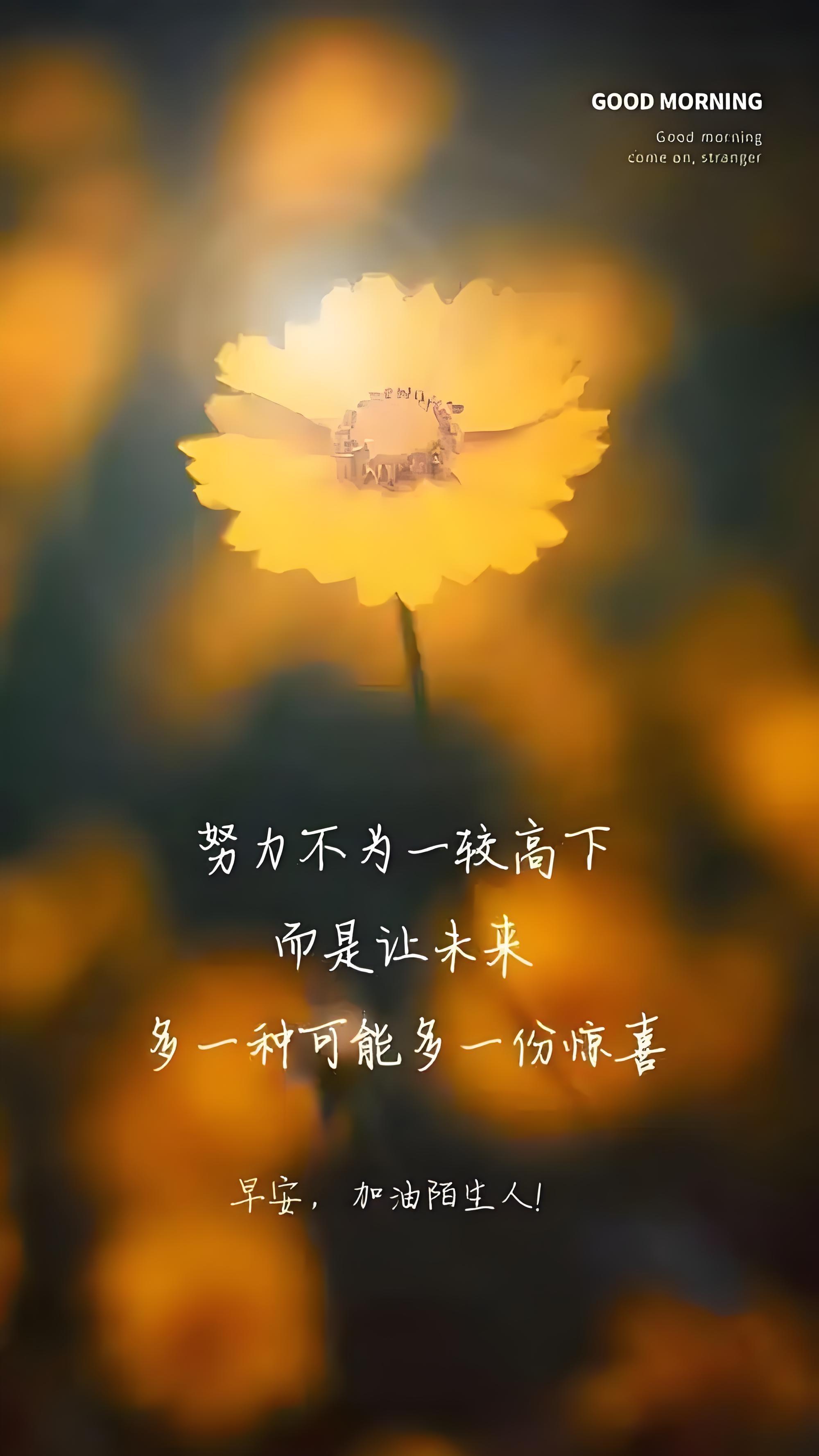 蓉月爱读书 的想法: 人生要活得尽兴