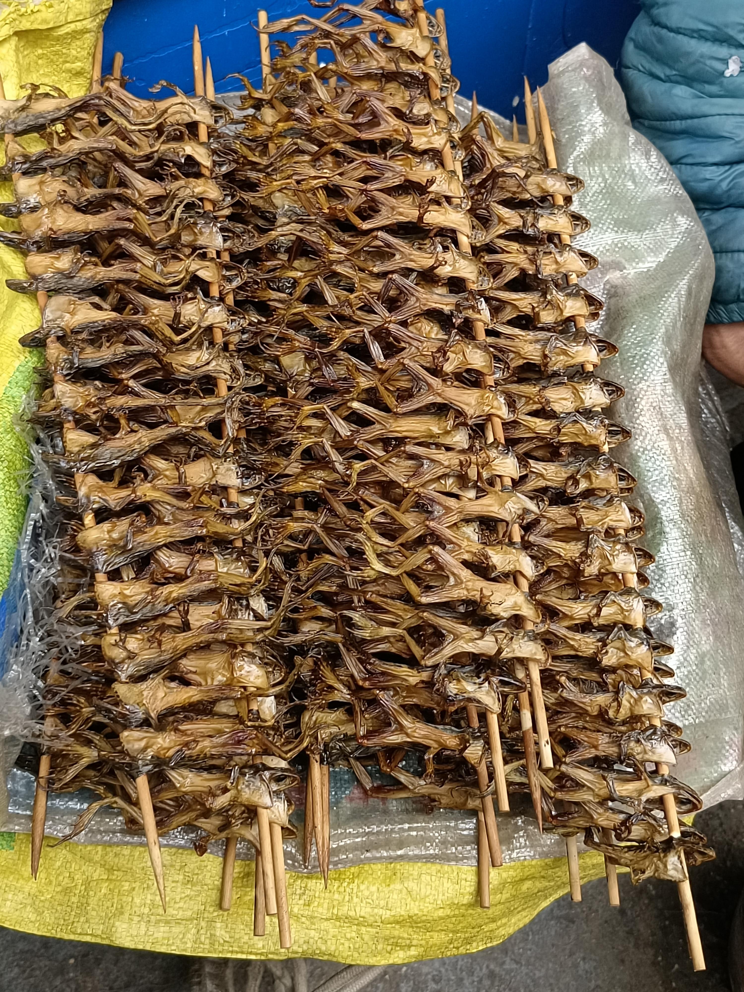 探索云南特色虫子宴?️?️?️?云南一个充满