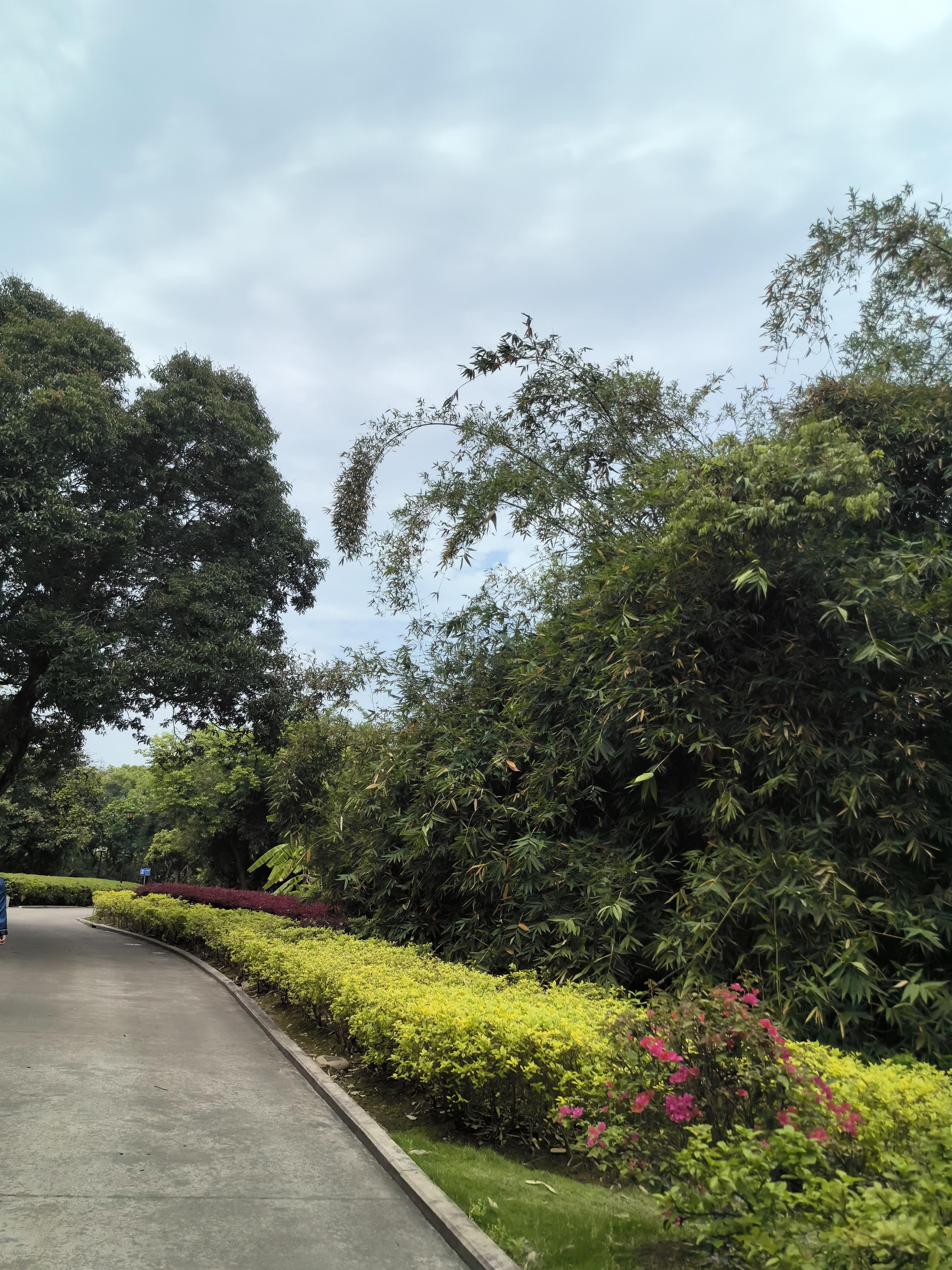 福州玉姐 的想法: 🔥随拍风景