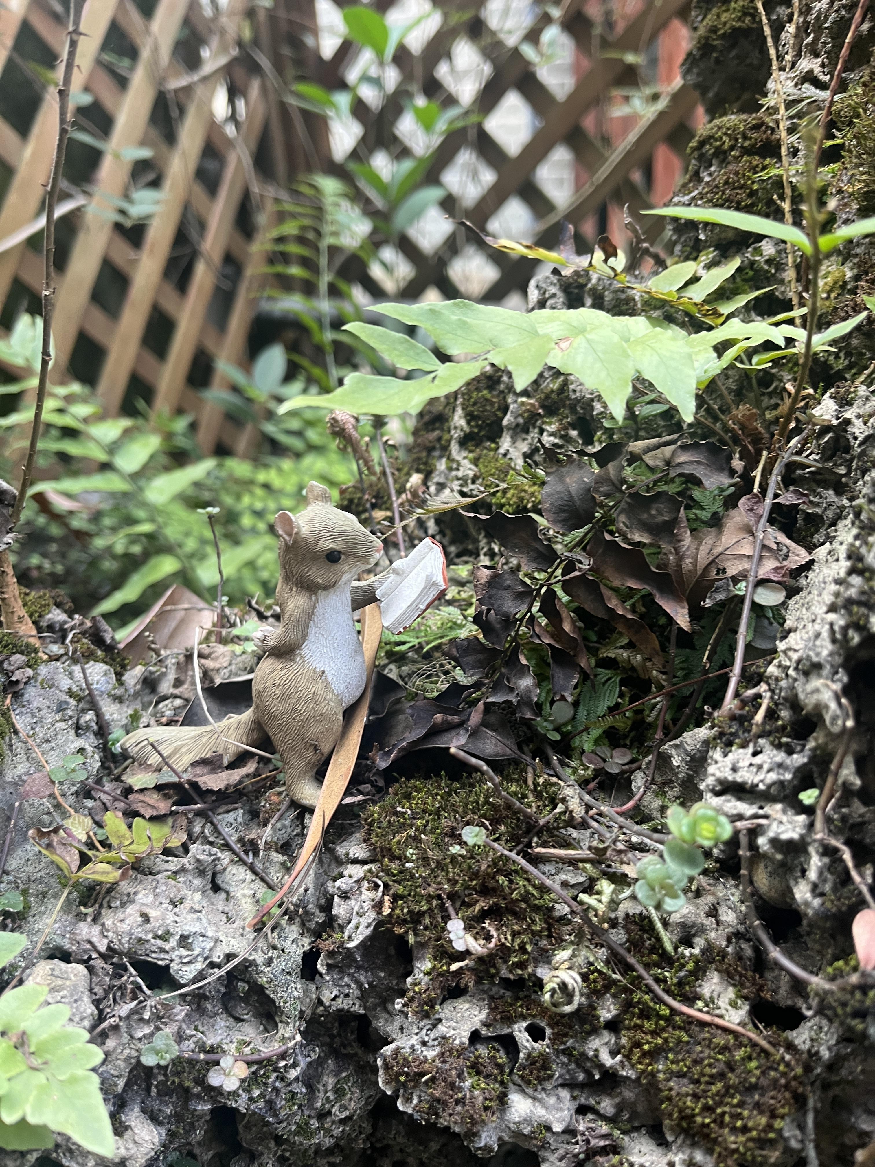 知唬大人 的想法: 好久没回家,花园里长出好多小动物 | 已经在乡下住