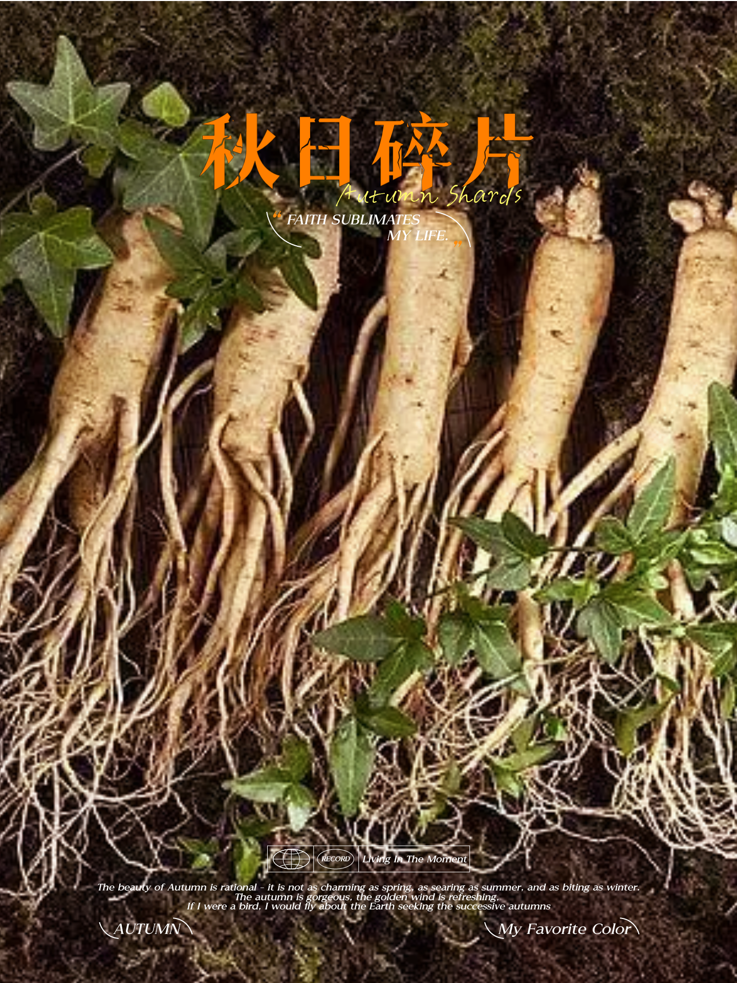 冰刀冷箭 的想法: 《仙草灵药》 |  a data-pin-topic="zhihu://topic