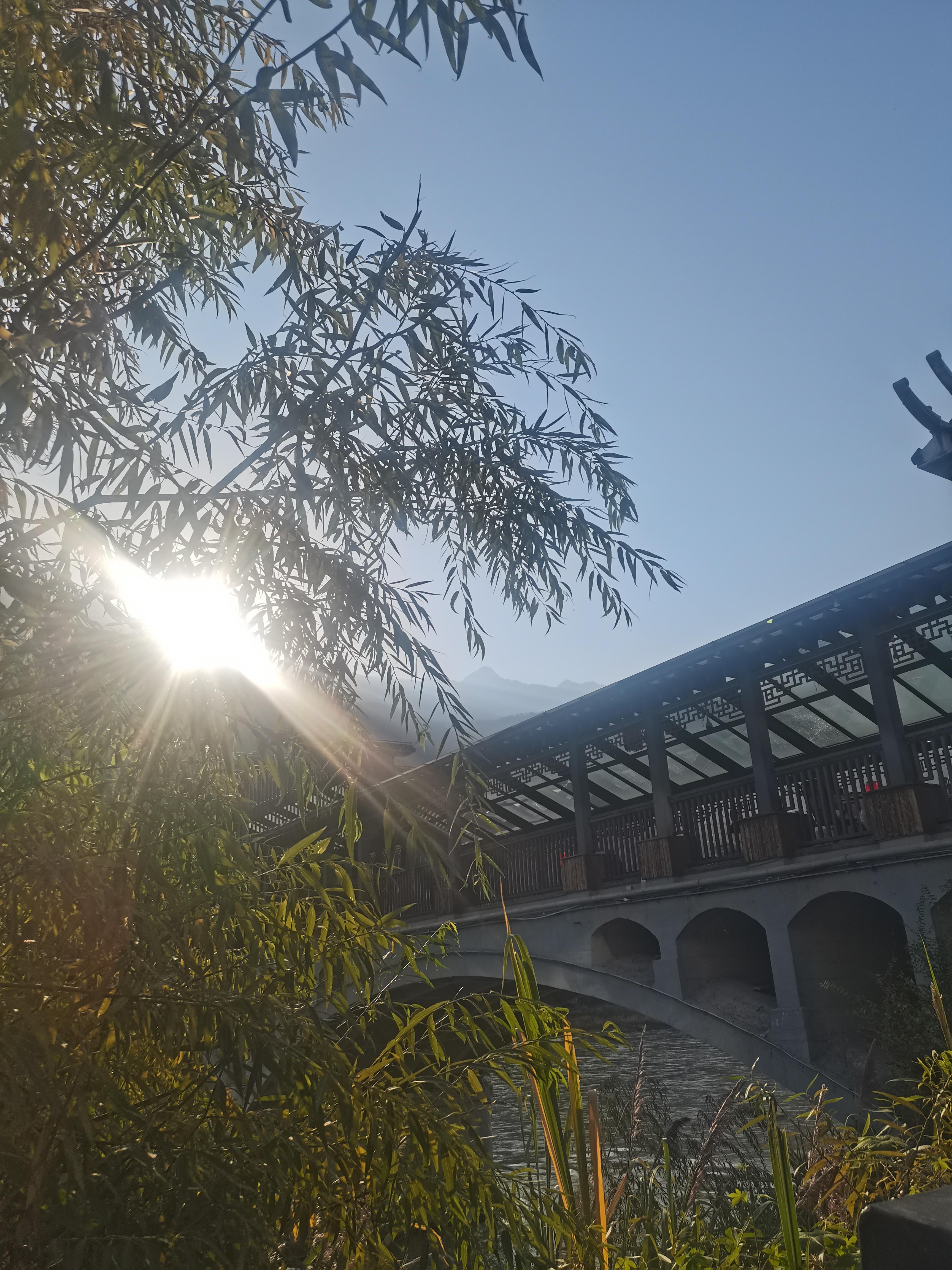 手机摄影拍摄虎哥视频教程，技巧大全