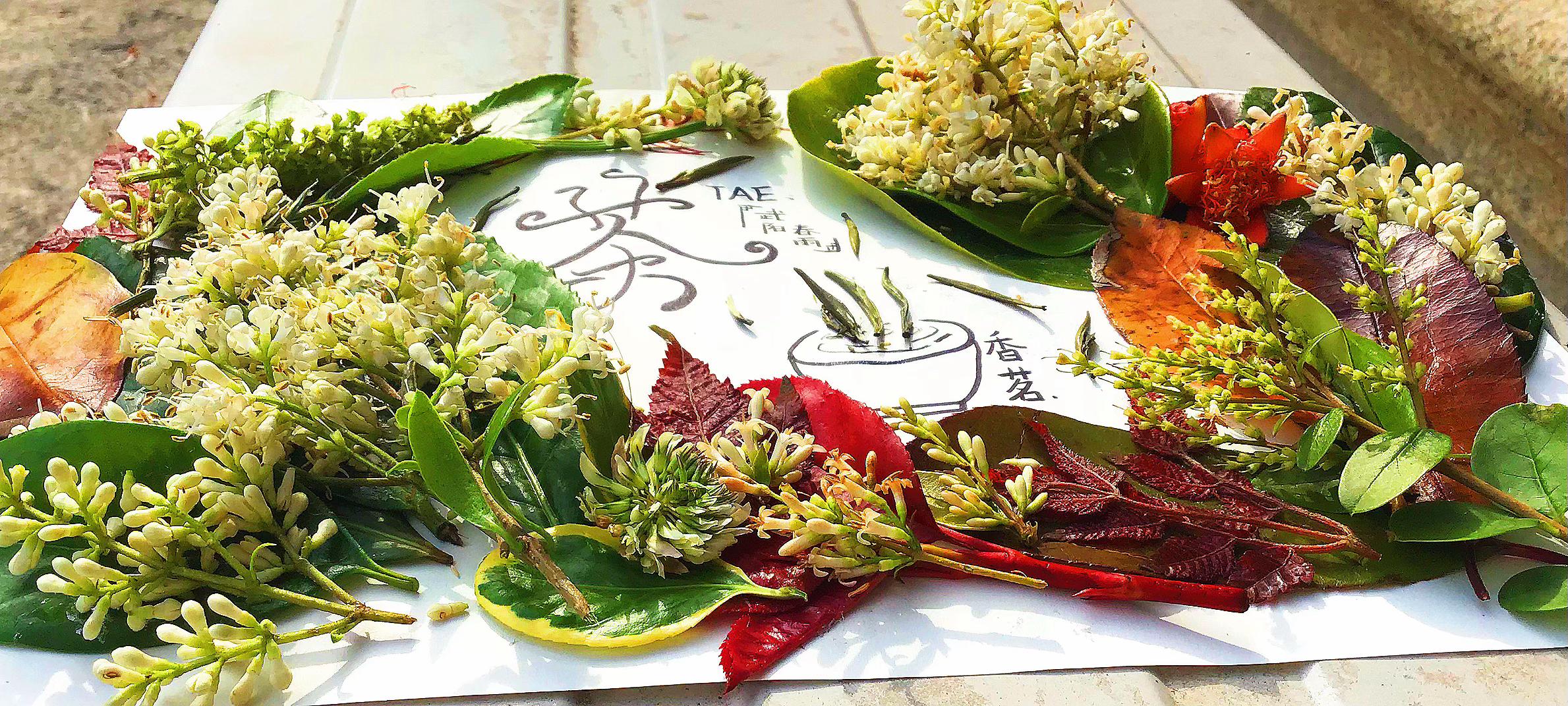 此处有个网名 的想法: #茶叶贴画