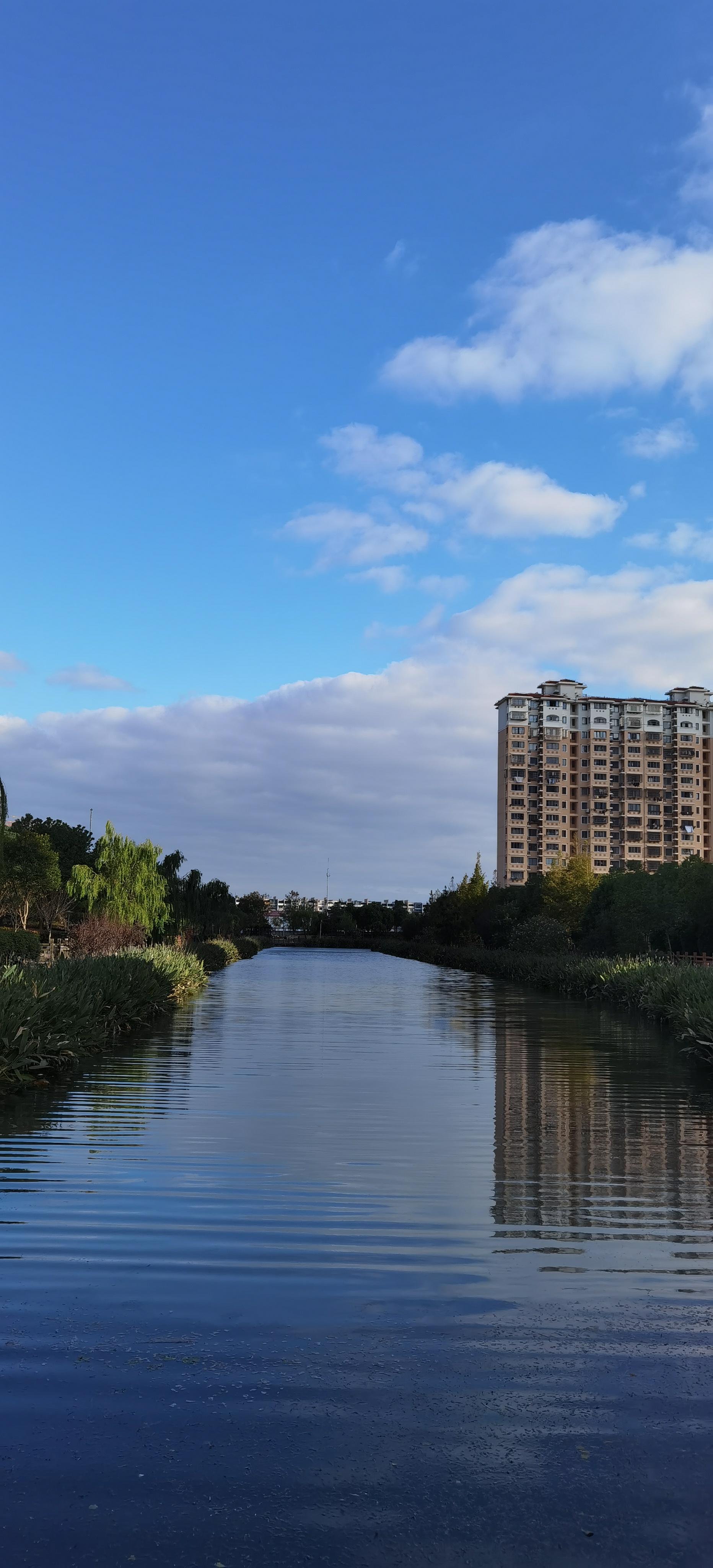 妙哉 的想法: 随手拍～路上的风景