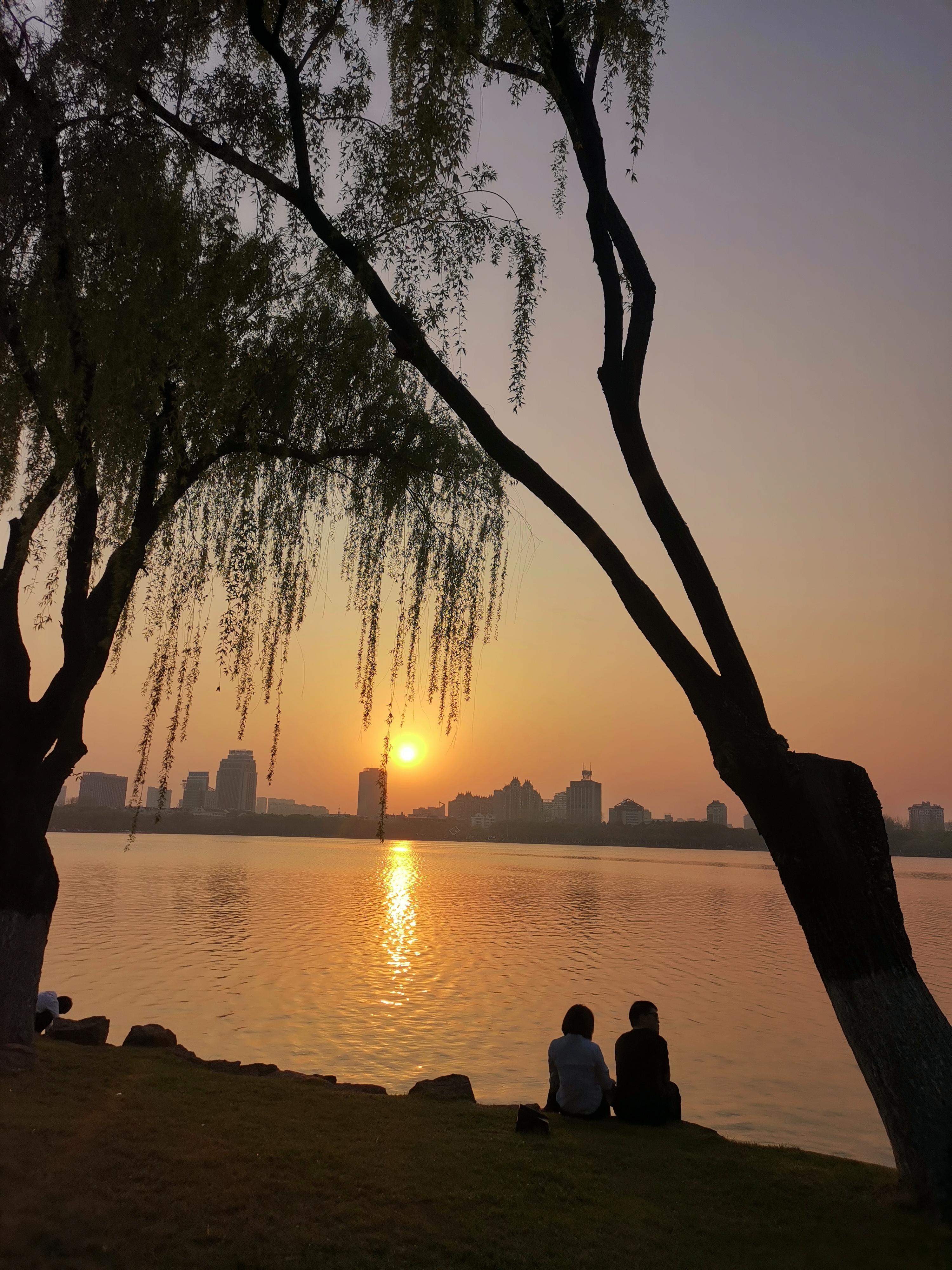 喇叭粥 的想法 东隅已逝桑榆非晚