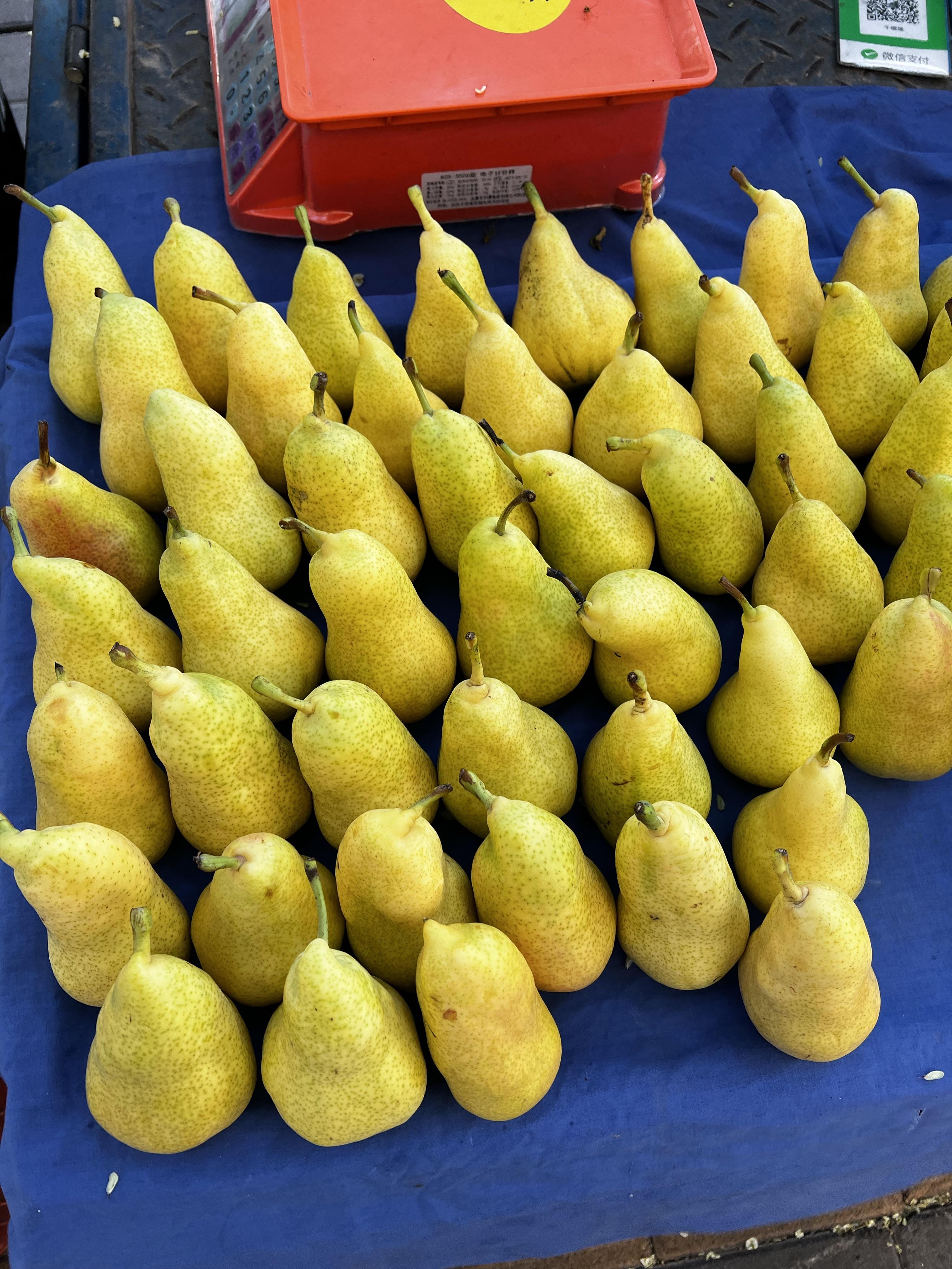 雁翎蓝 的想法: 兰州特产巴梨:软糯香甜