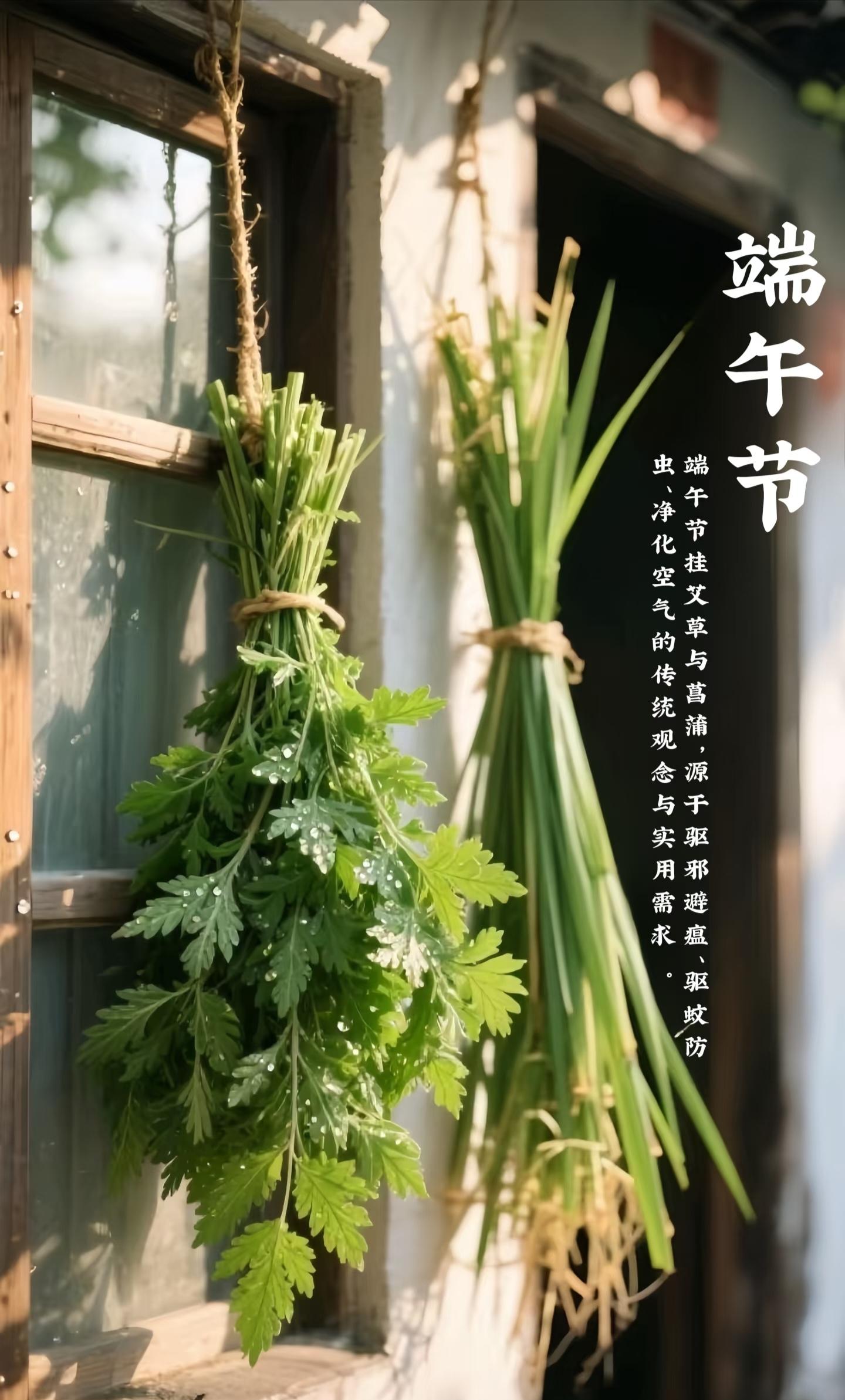 书慧人生 的想法: 小时候的端阳:挂艾叶和菖蒲