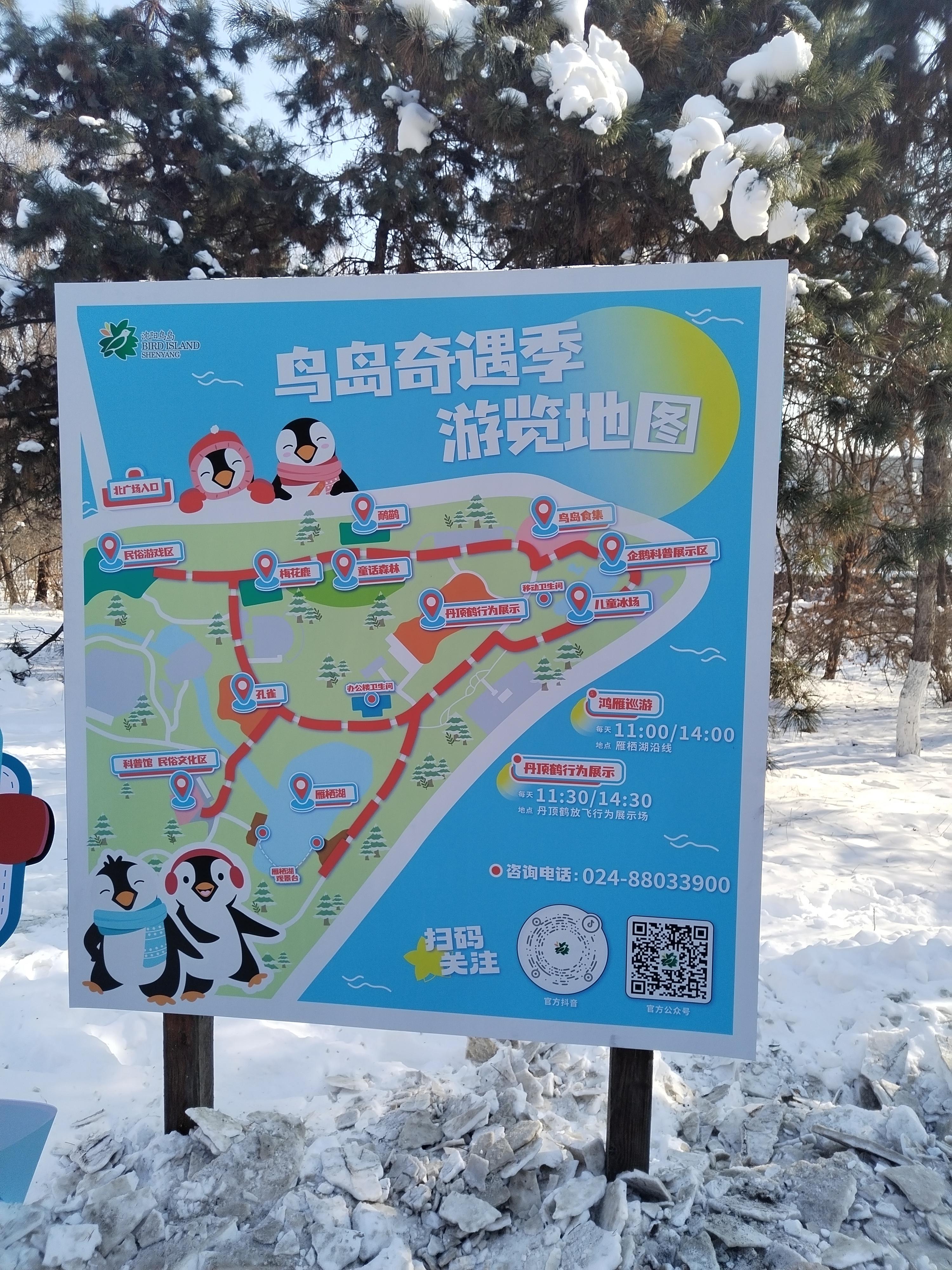 夏日芥末 的想法: 沈阳鸟岛