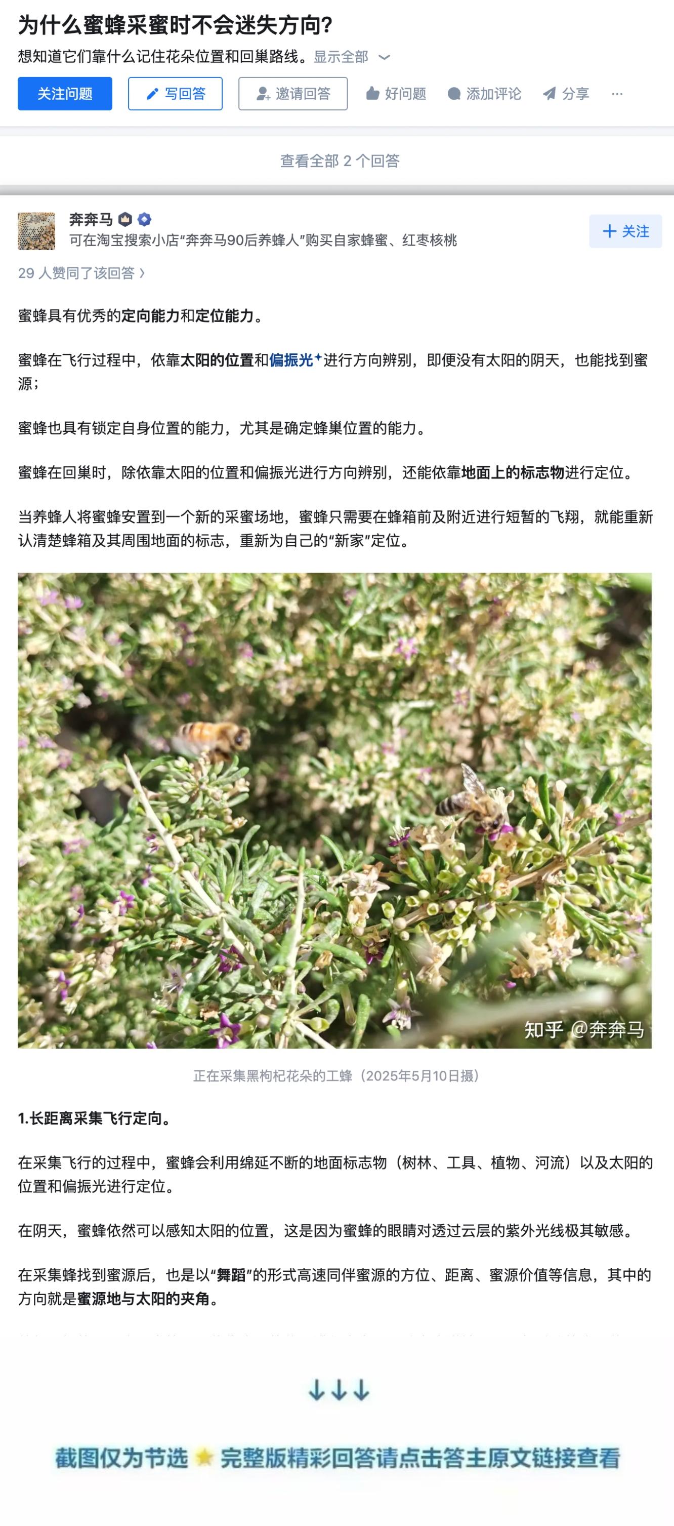 为什么蜜蜂