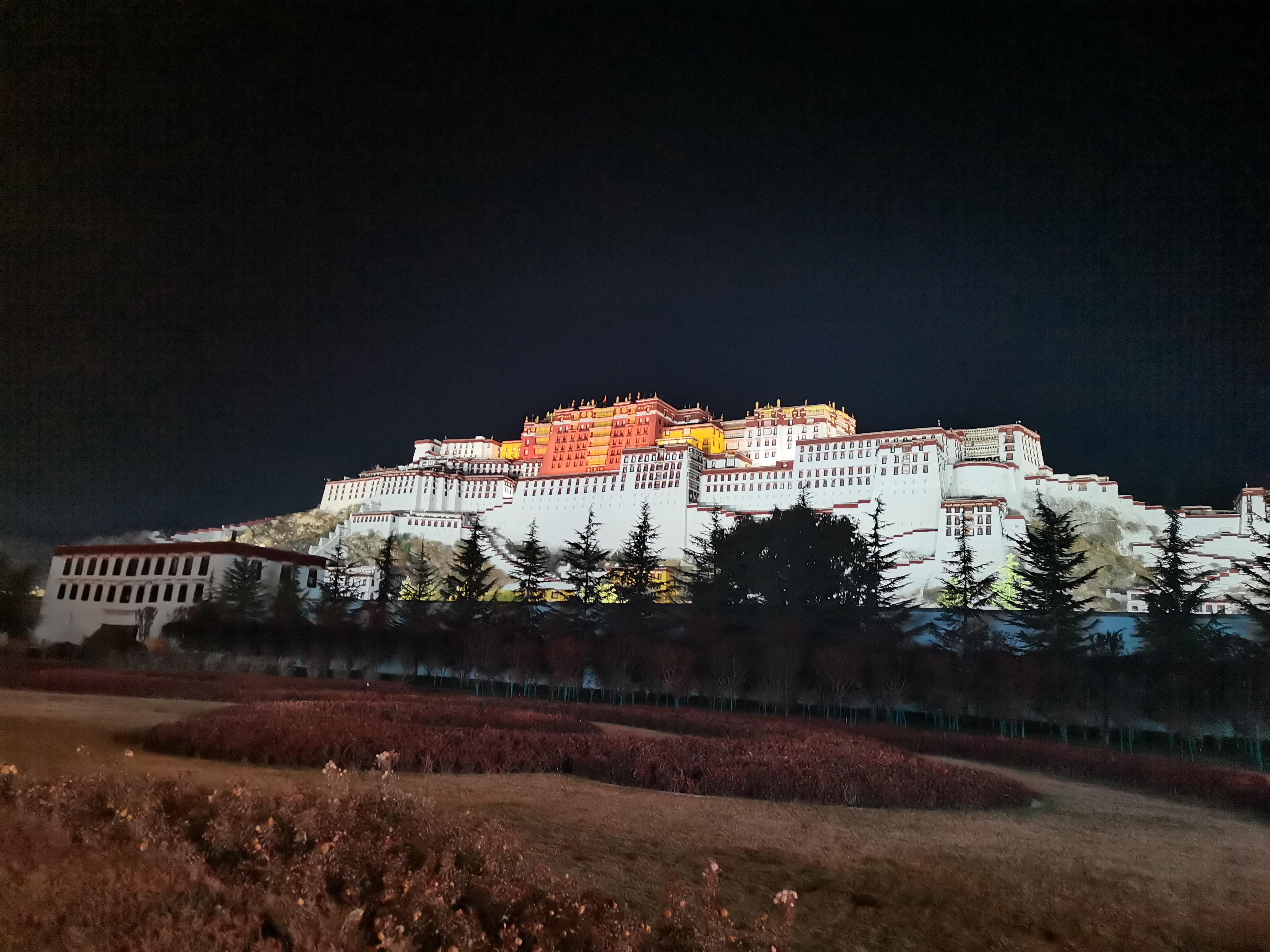 布达拉宫夜景图片高清图片