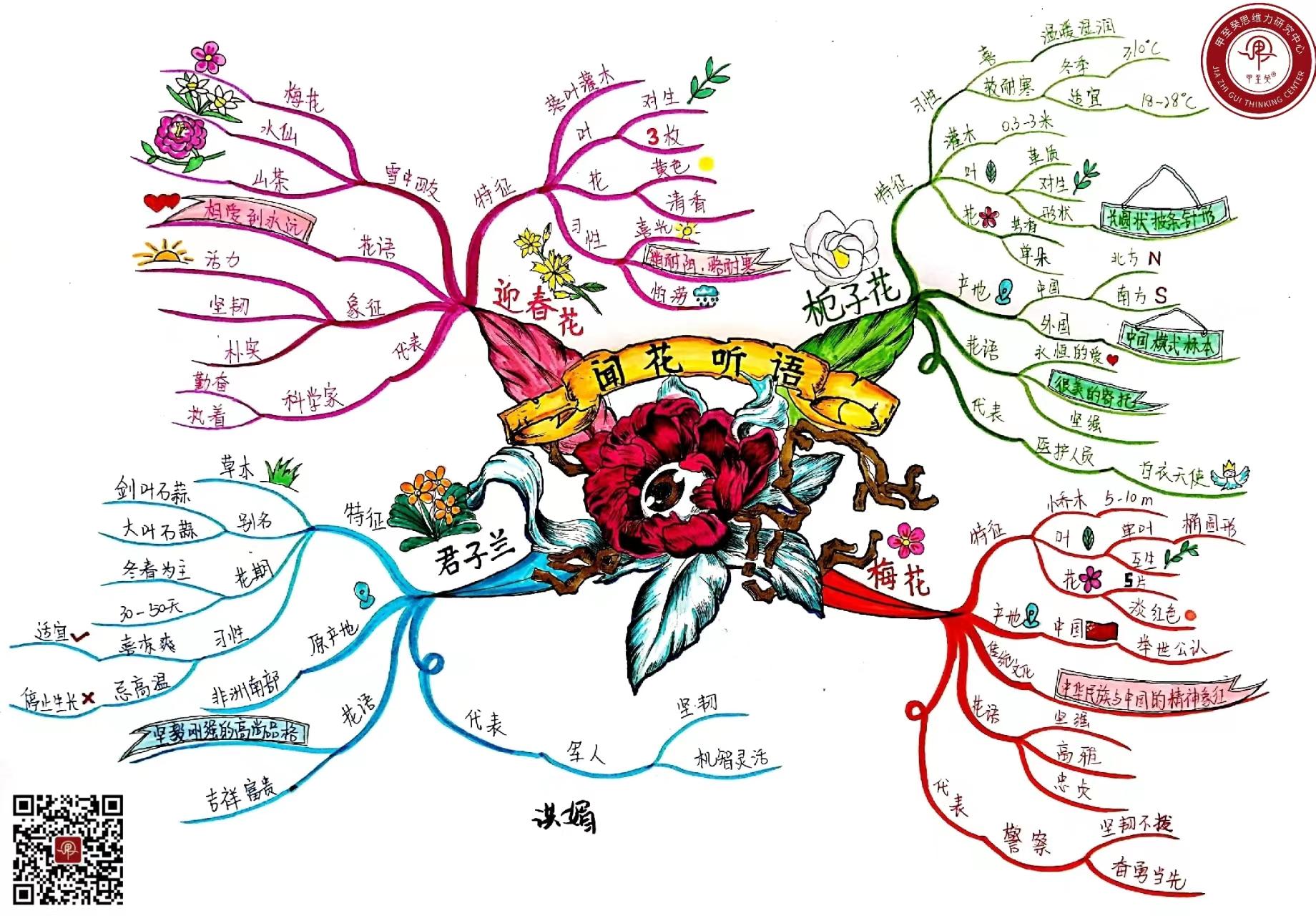孙梦思维导图 的想法: 【思维导图|花语】 | 花语是指人们用花来表达
