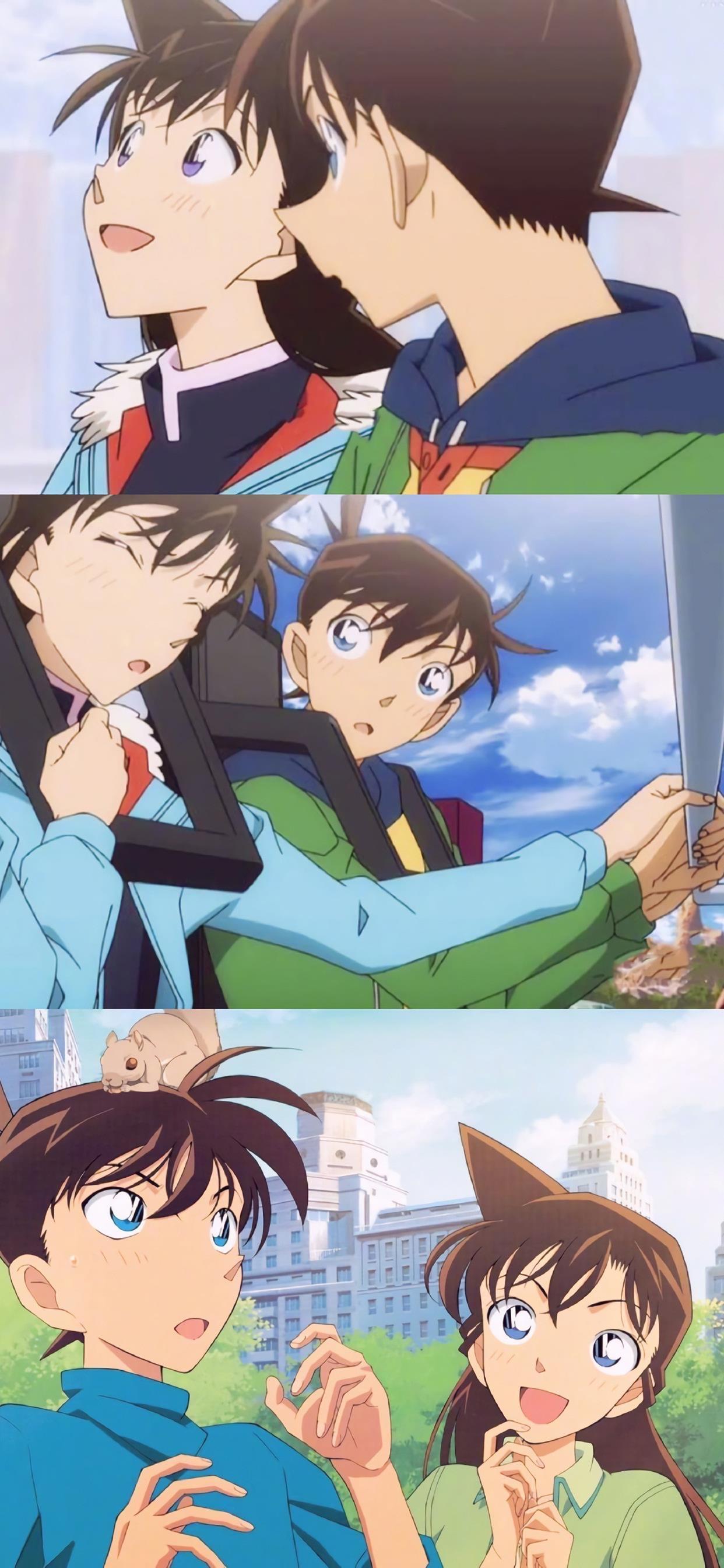 吾馨乄紫文 的想法: 新兰壁纸