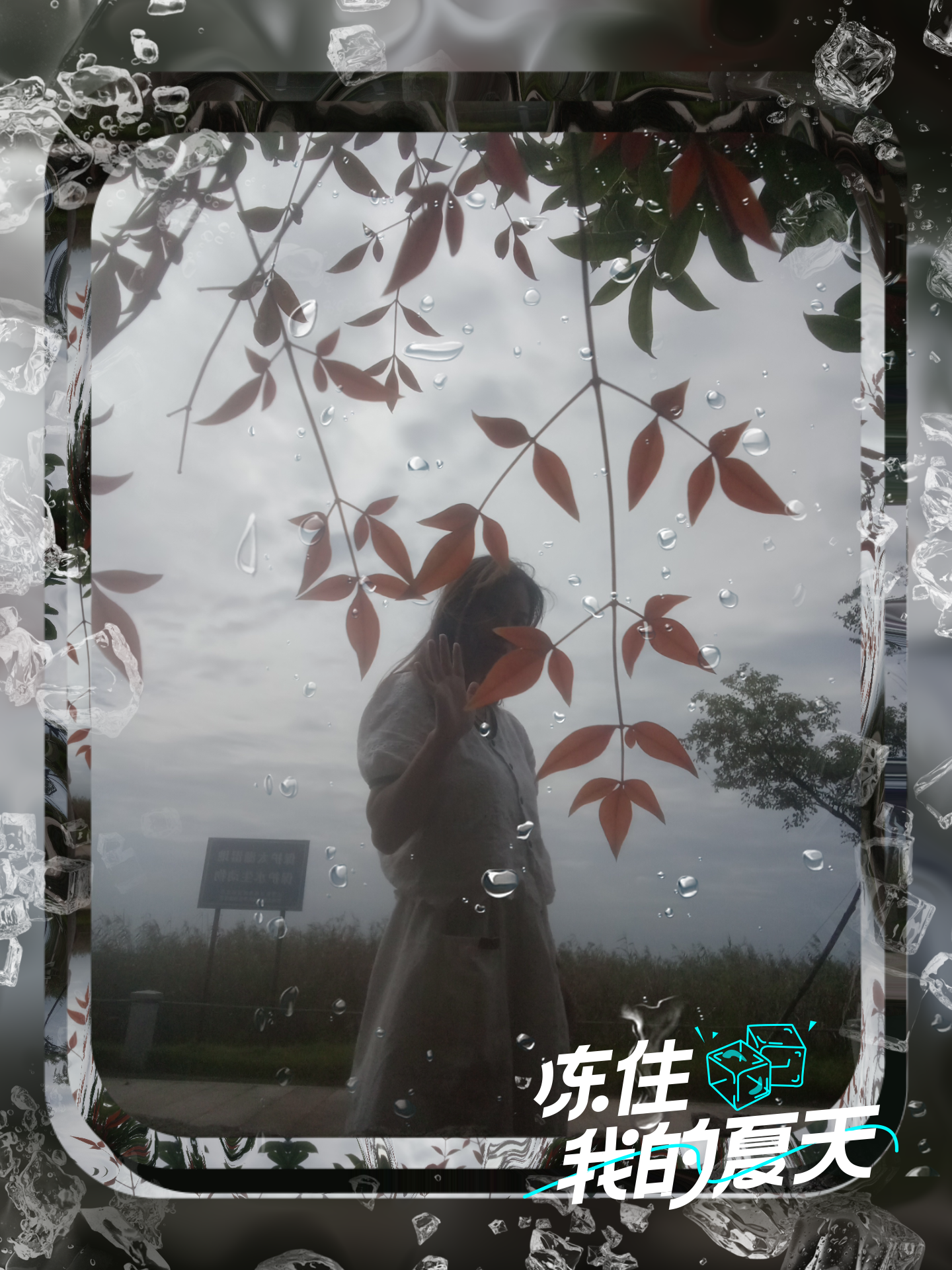 子兮 的想法: 昨天晚上做了一个梦,梦见了,我的前世今生.