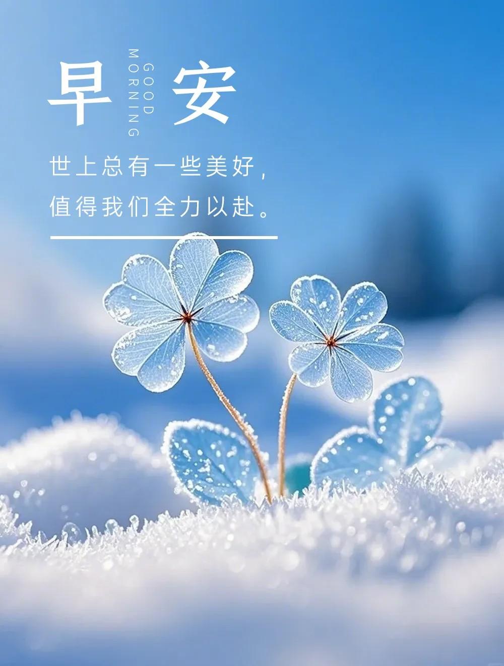 爱读书的艳艳 的想法: 早安语录