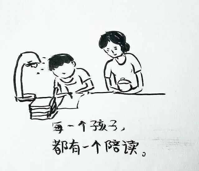 向爱而生 的想法: 曾经高中陪读妈妈的回顾