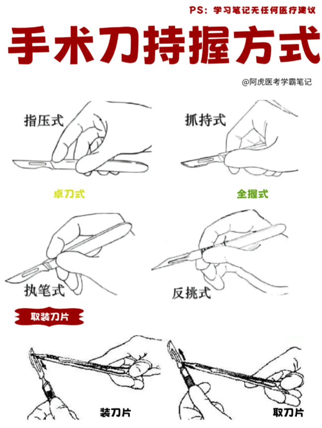 阿虎医考 的想法: 常见手术刀握持方式图从 #阿虎医考#医生#主治医师