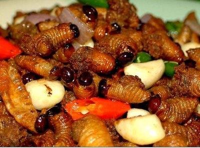 旺旺雪饼 的想法: 小时候吃过的虫子之二