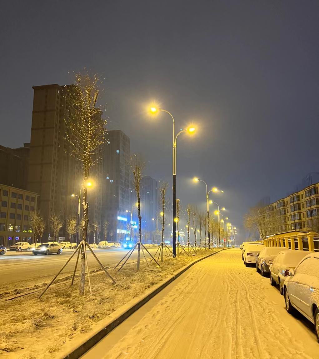 城市下雪夜景图片大全图片