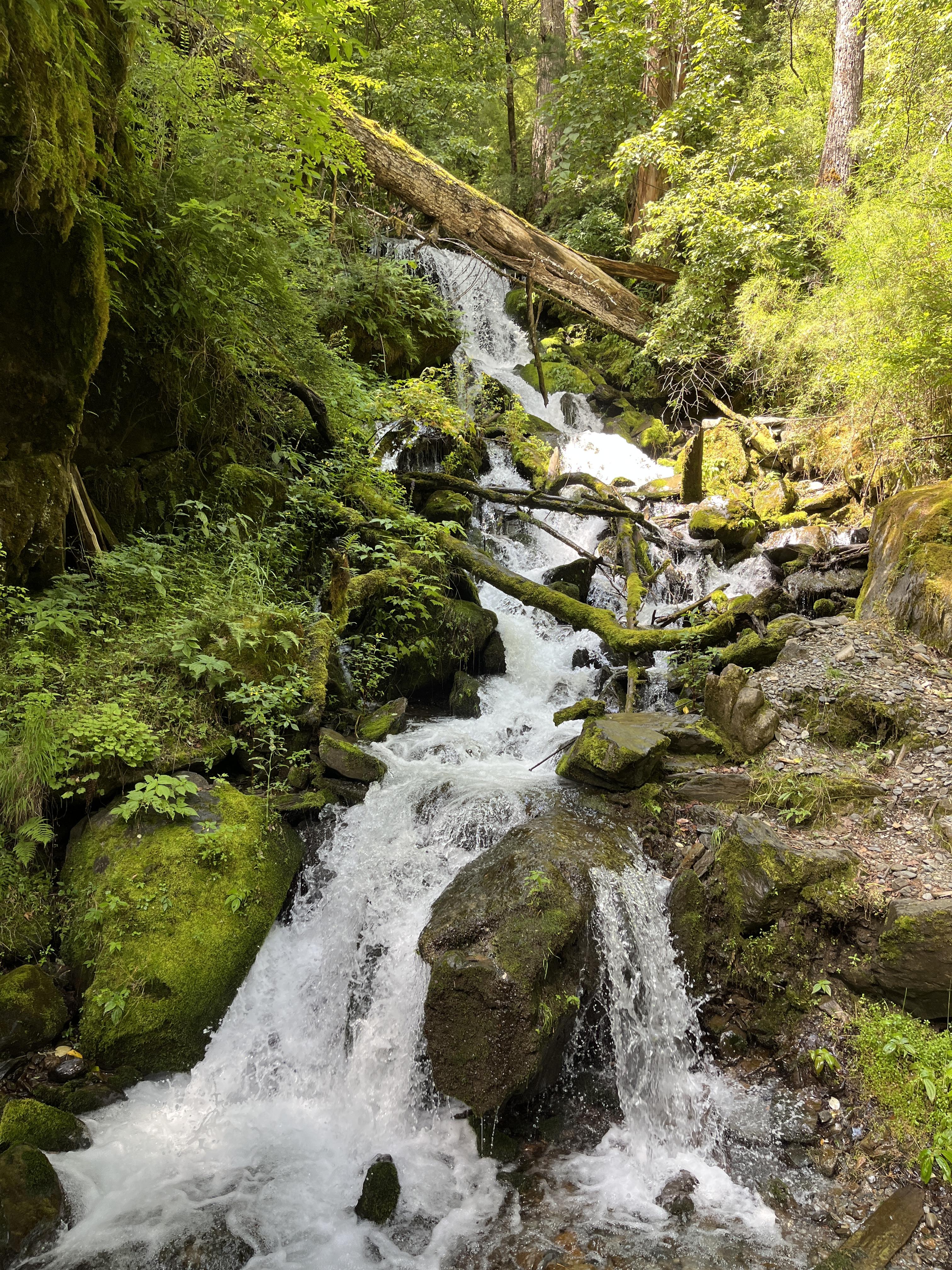 乱讲 的想法: 尼汝村七彩瀑布