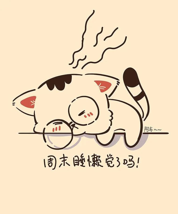 全指望着周末才能睡懒觉,但是还有好多私事只能周末去办,想睡