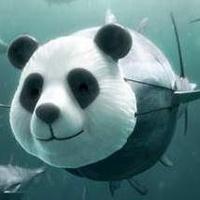 Zhihu profile picture for @chung