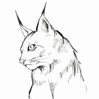 Zhihu profile picture for @detonator