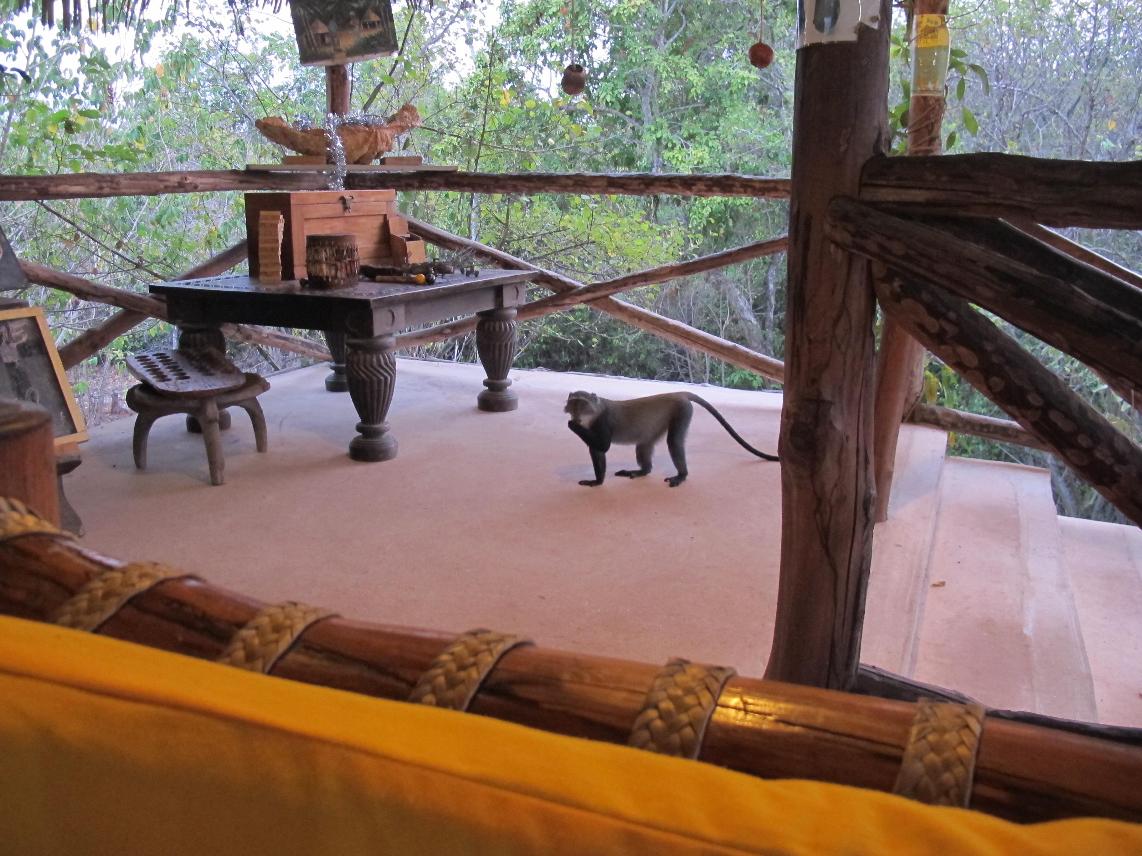 到非洲旅行带 8 岁小朋友同行有哪些需要注意的事项?