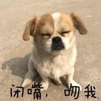 Zhihu profile picture for @schwarzenegger