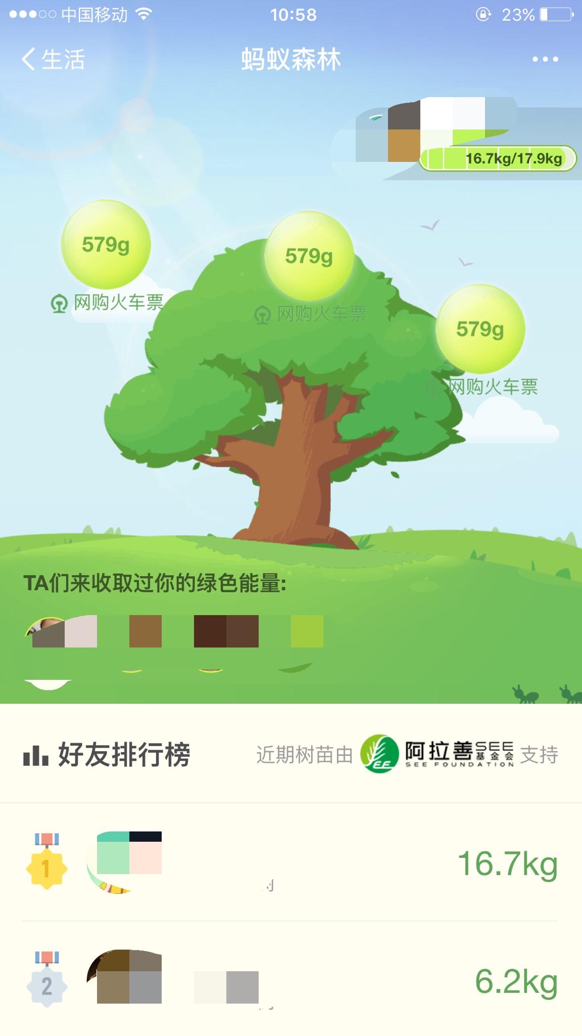 为什么支付宝的蚂蚁森林有的人第二天能量有好几百