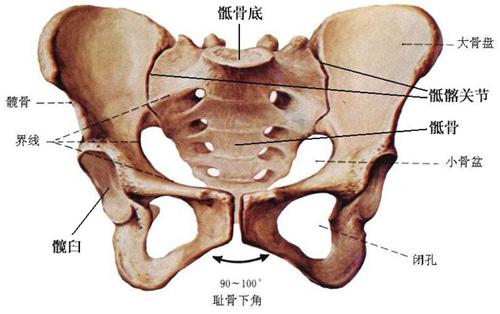 崴脚为什么很难恢复?