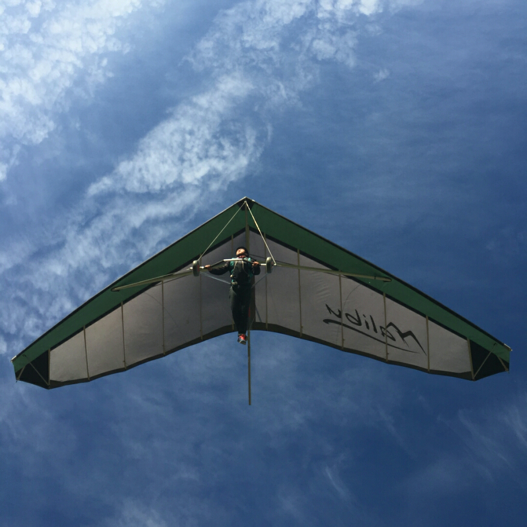 国内无动力三角翼现况,对比? - 知乎