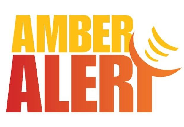 amber alert(安珀警报—帮助宝贝回家