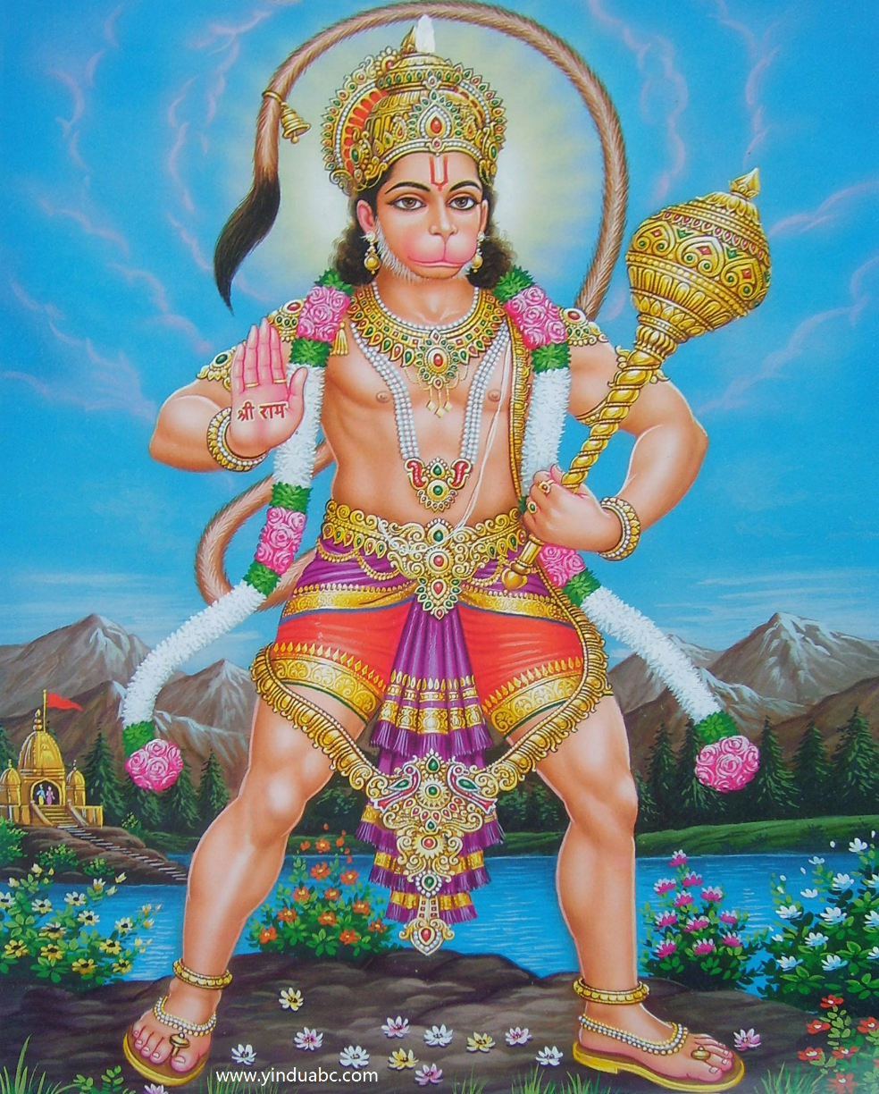 请问这个东西叫啥啊出处是小萝莉的猴神大叔