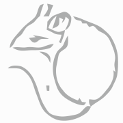 Zhihu profile picture for @soli