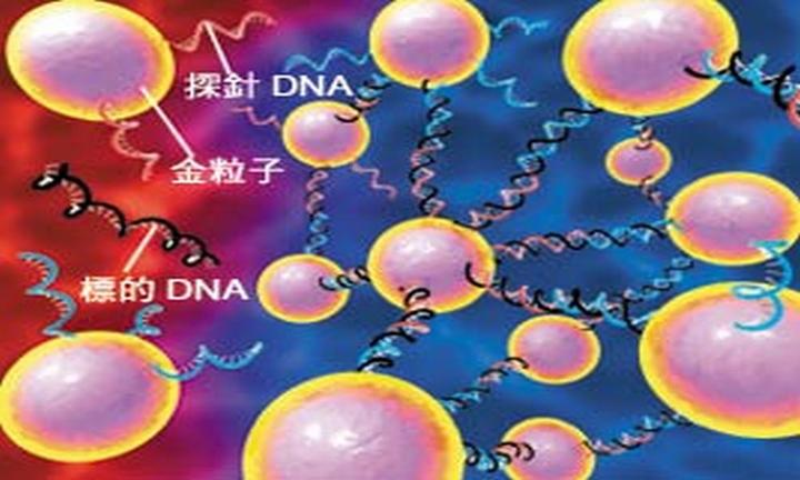应用系列A之廿二:细菌 DNA 分离_基因*进行中 - 知乎