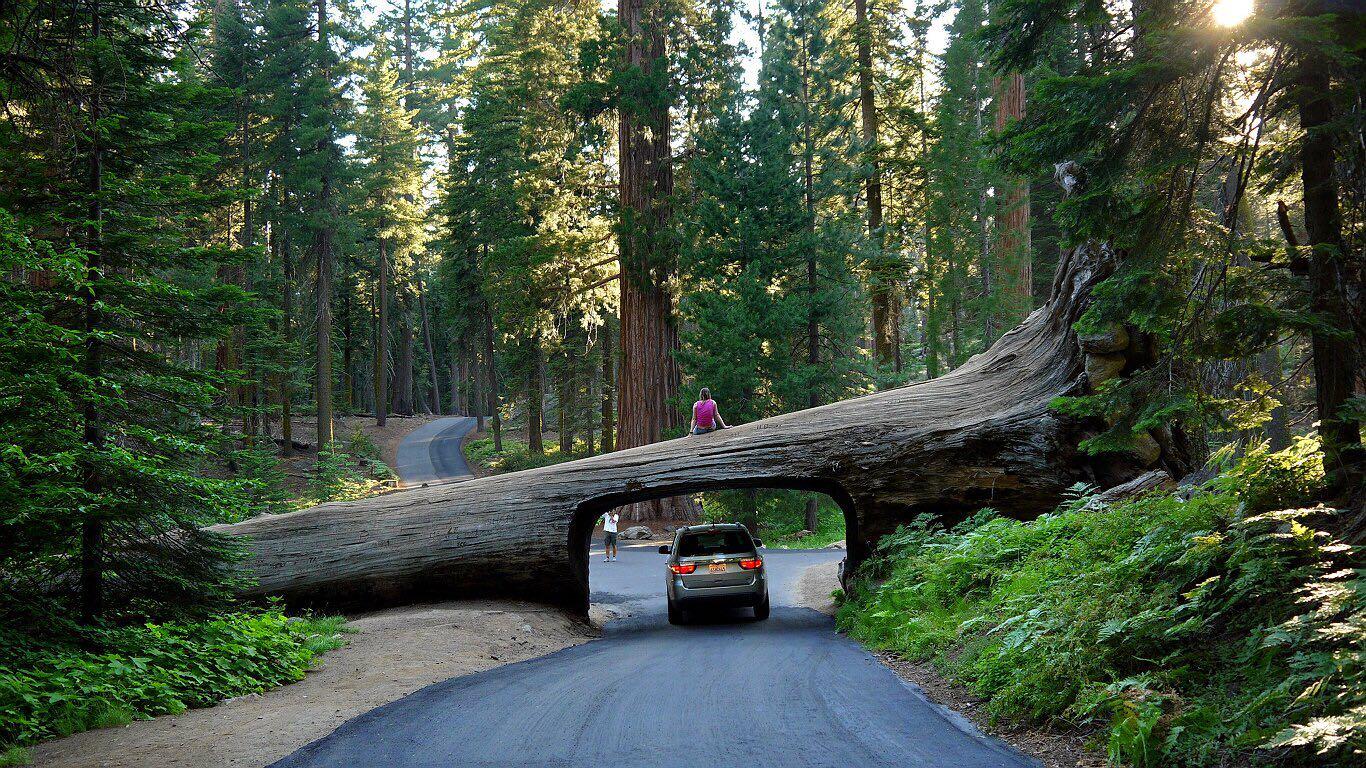 在美国乡村公路自驾是什么样的一种体验?