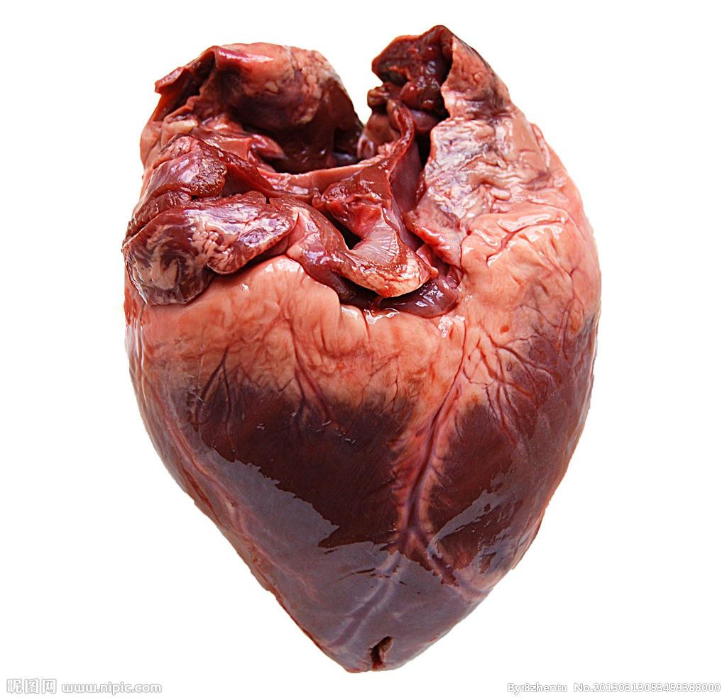 人的心脏是不是真的长得像一颗心形