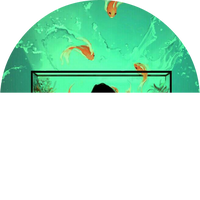Zhihu profile picture for @dhcp
