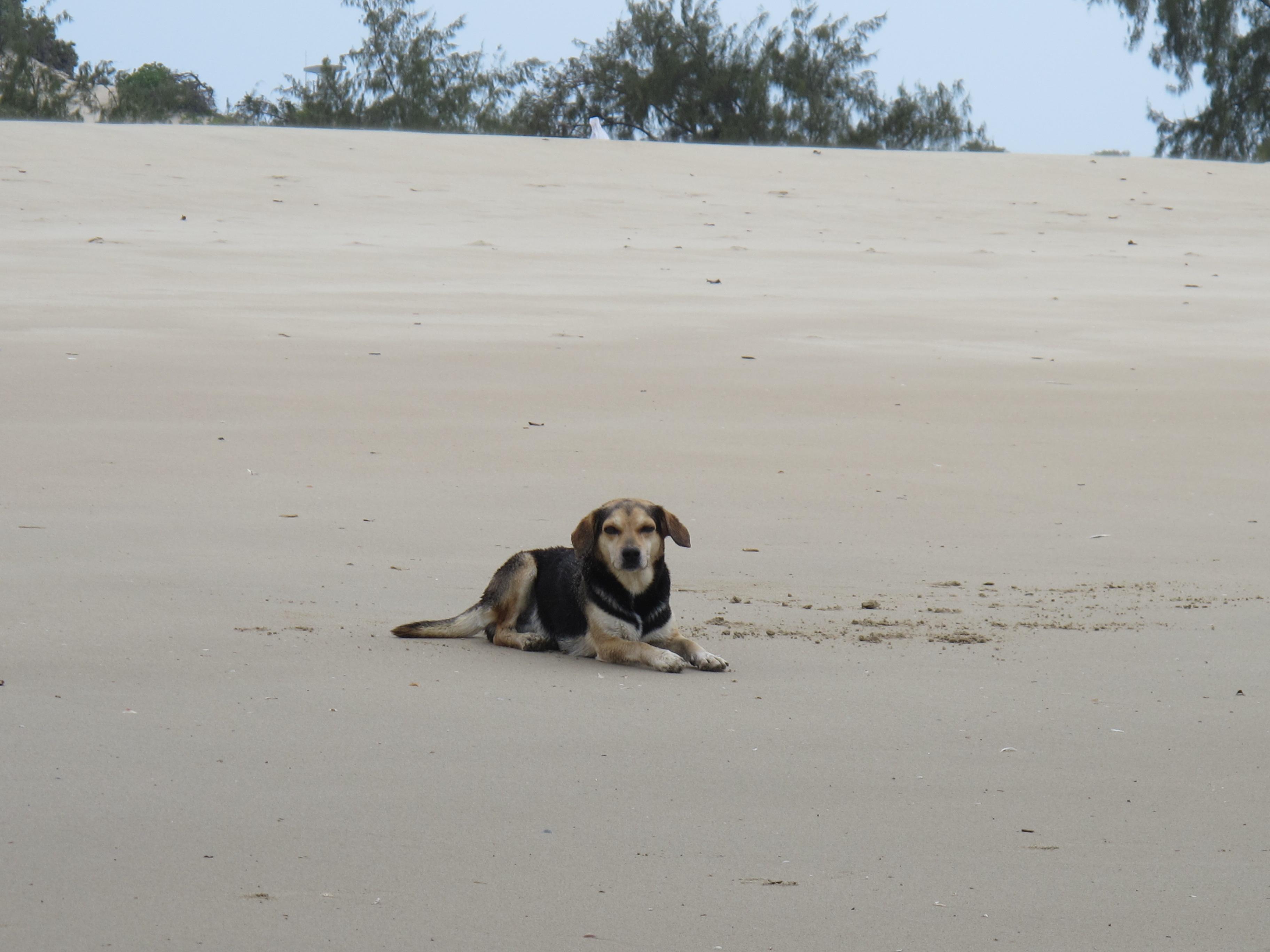 到非洲旅行带 8 岁小朋友同行有哪些需要注意的事项?
