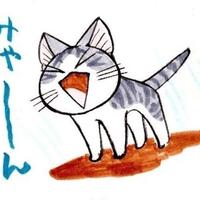 Zhihu profile picture for @shal